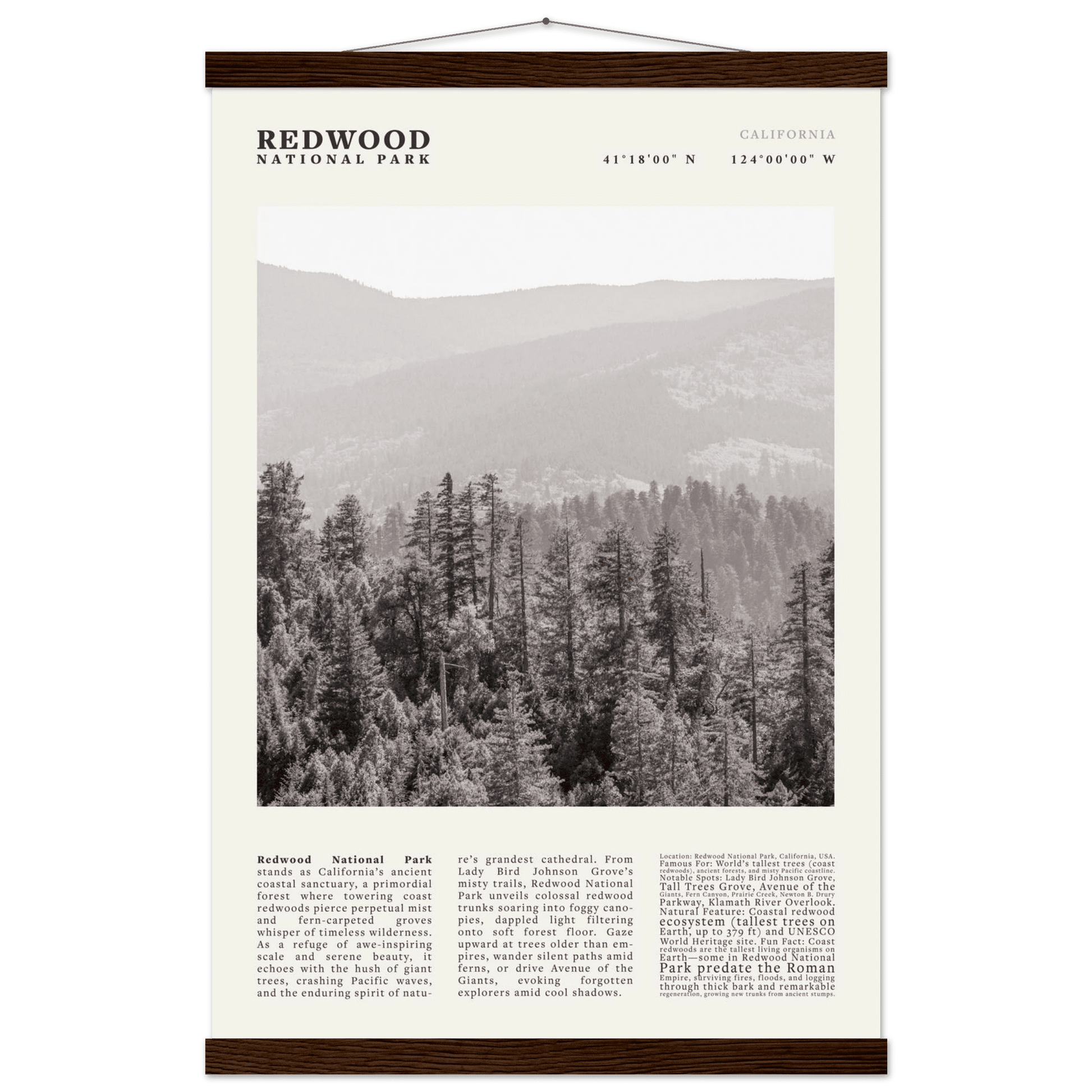 Redwood National Park Poster Black and White – Vintage Foggy Redwood Forest Print - Evergreen Posters