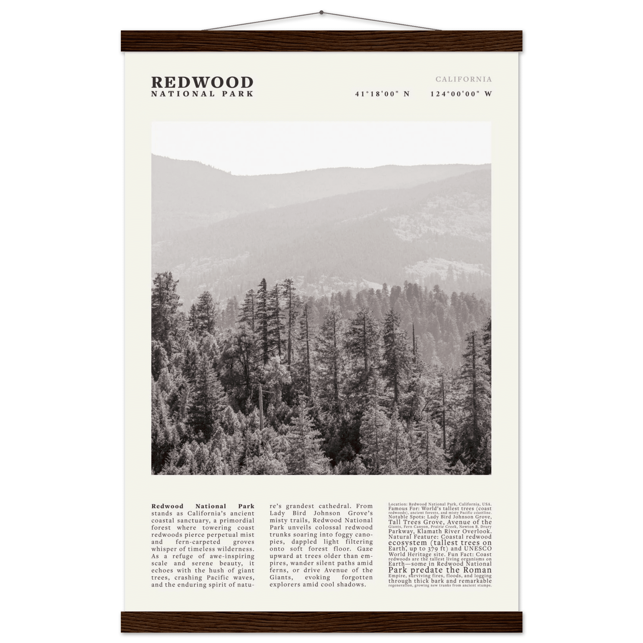 Redwood National Park Poster Black and White – Vintage Foggy Redwood Forest Print - Evergreen Posters