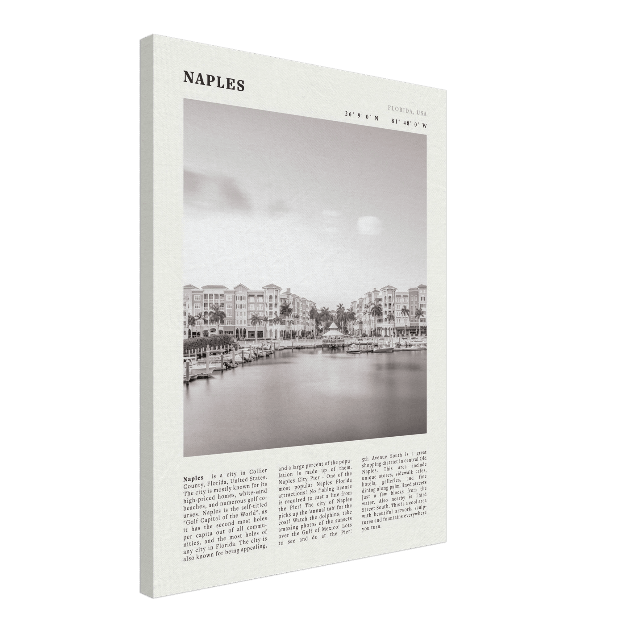 Naples Florida Poster | Black & White Gulf Coast Wall Art | FL Travel Print - Evergreen Posters