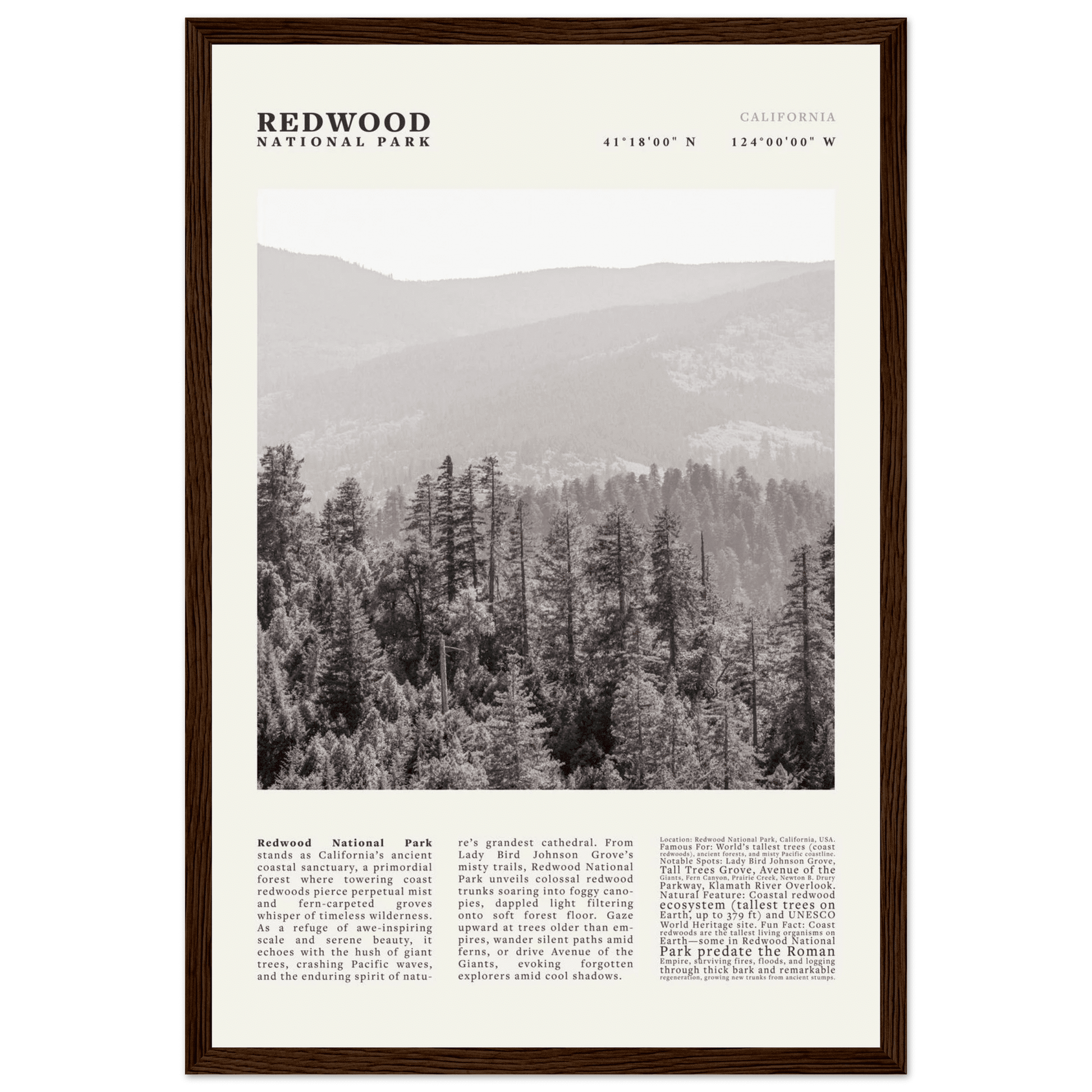 Redwood National Park Poster Black and White – Vintage Foggy Redwood Forest Print - Evergreen Posters