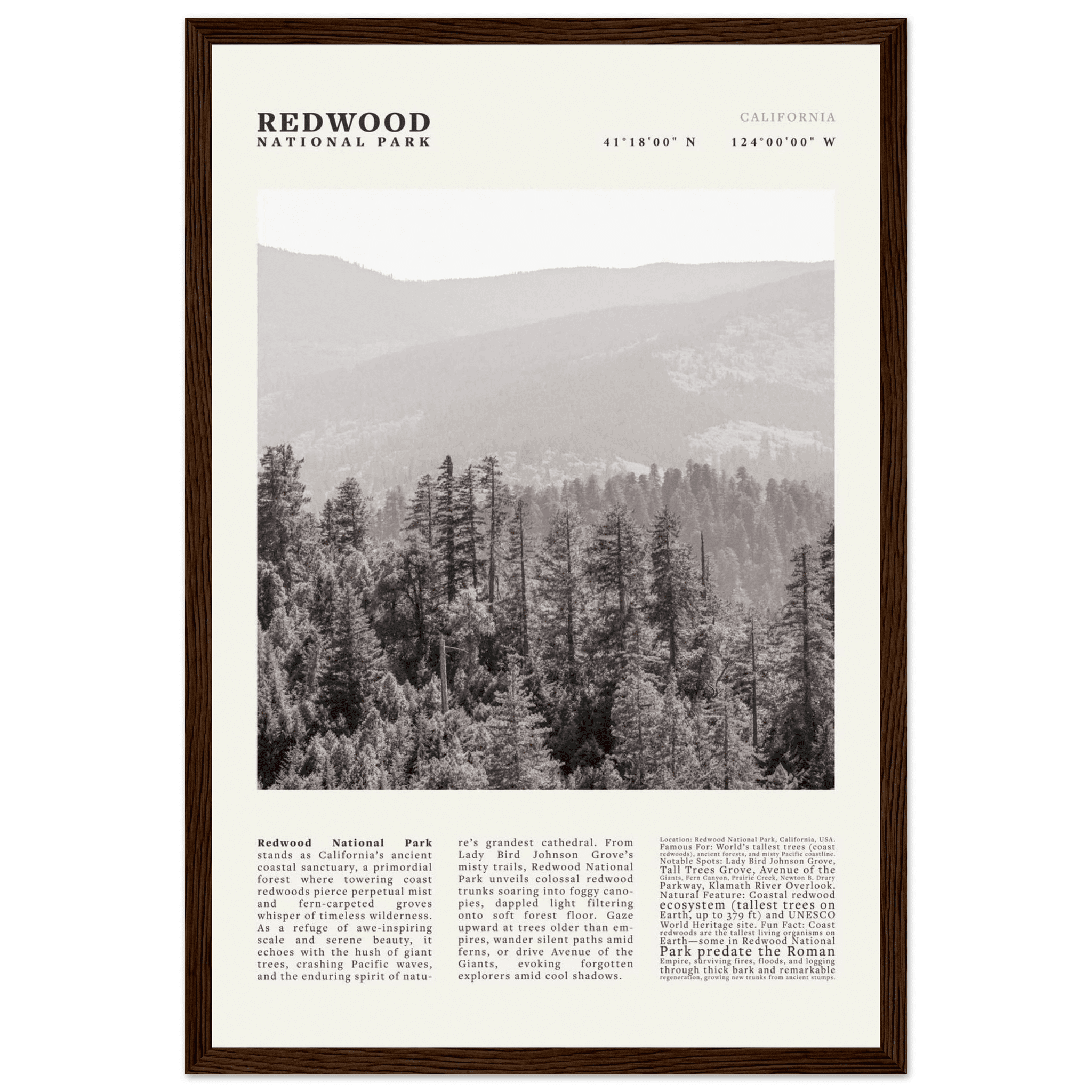 Redwood National Park Poster Black and White – Vintage Foggy Redwood Forest Print - Evergreen Posters