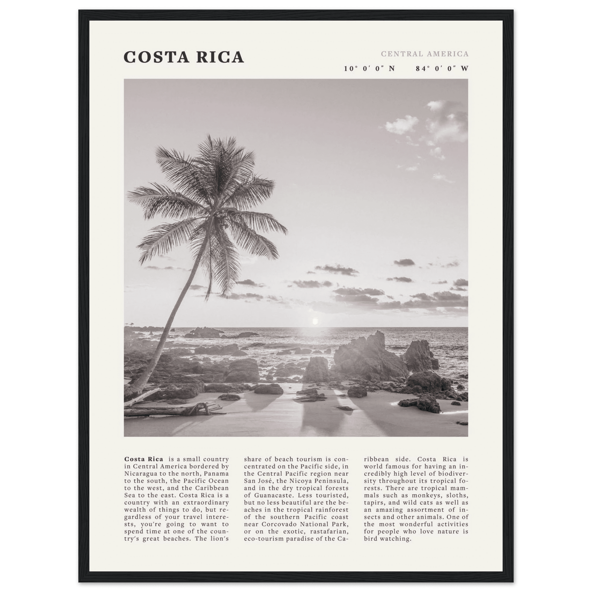 Costa Rica Poster | Black & White Palm Tree Beach Wall Art | Travel Print Decor - Evergreen Posters