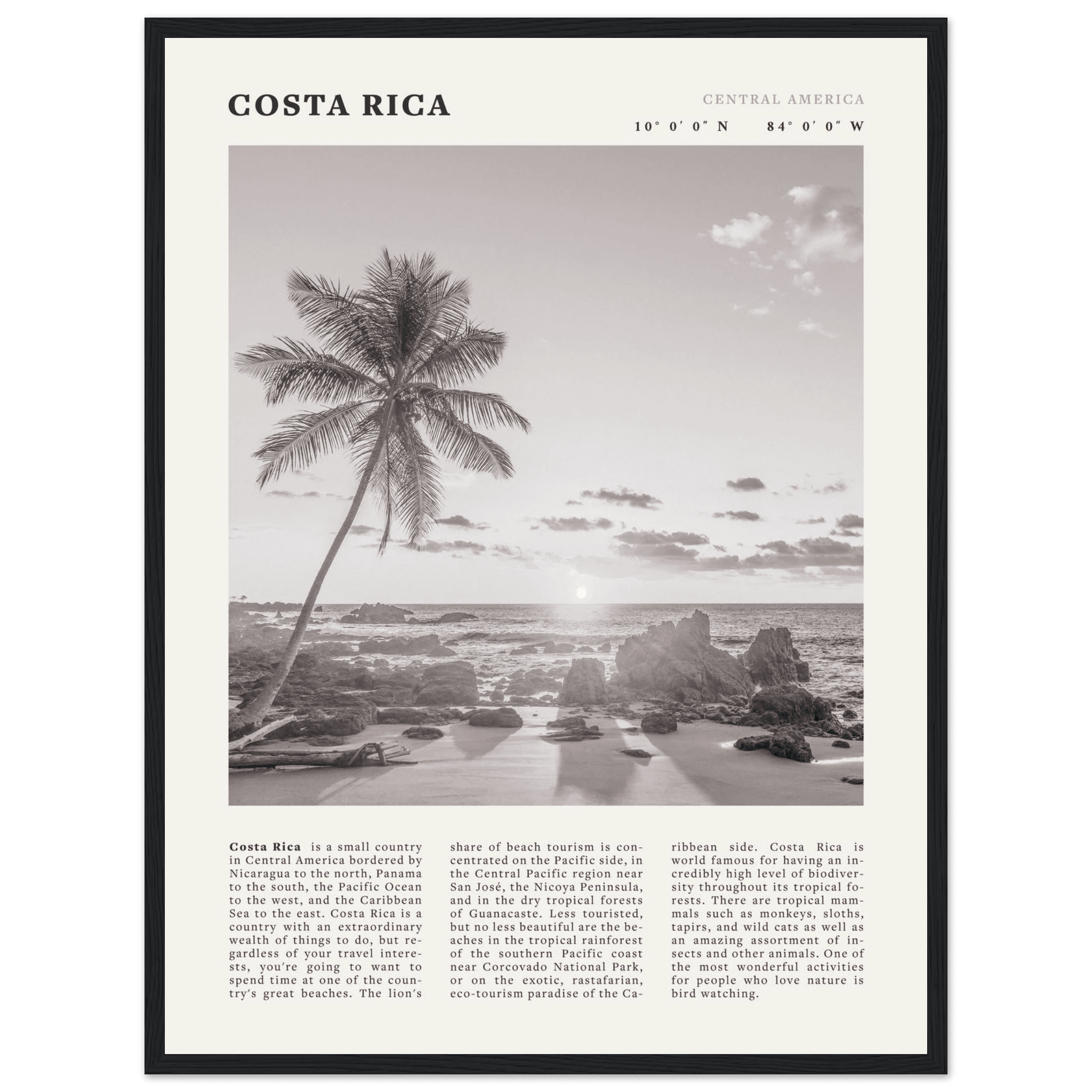 Costa Rica Poster | Black & White Palm Tree Beach Wall Art | Travel Print Decor - Evergreen Posters