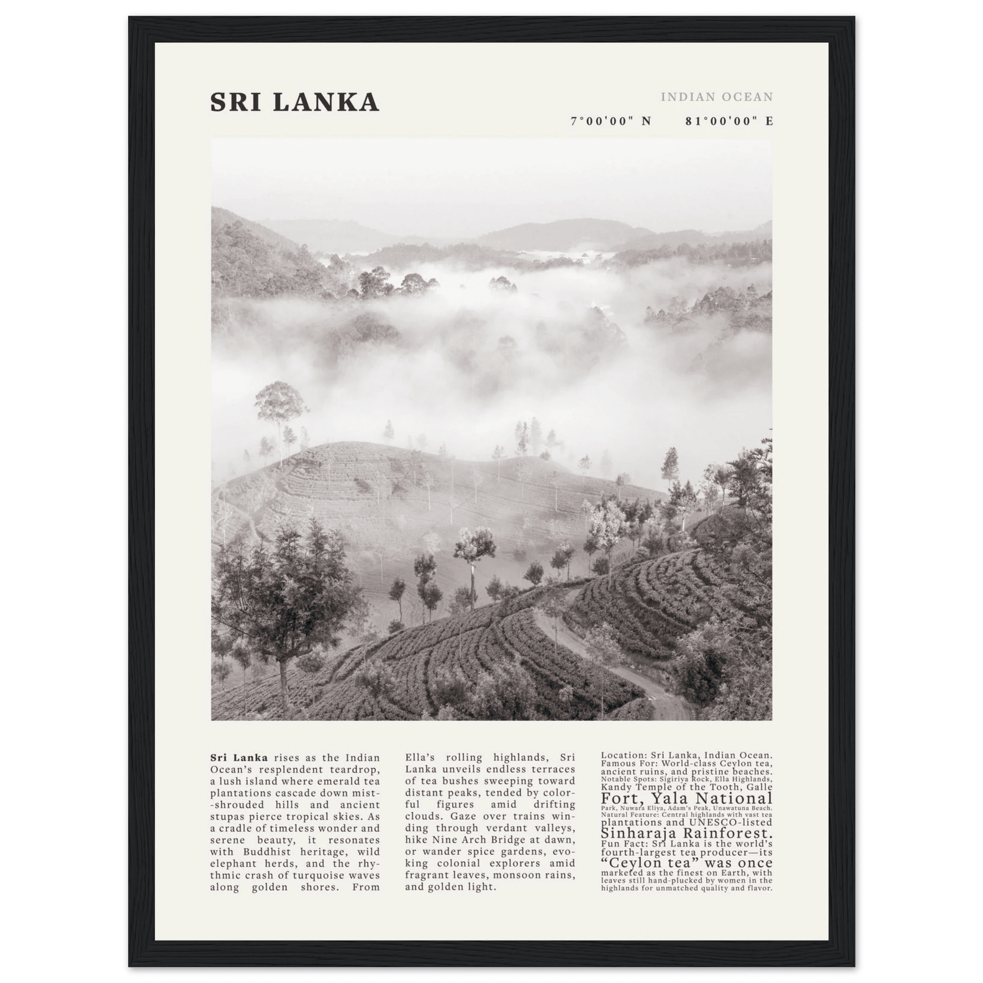 Sri Lanka Poster Black and White – Vintage Ceylon Tea Plantation Print (Digital & Printed Options) - Evergreen Posters