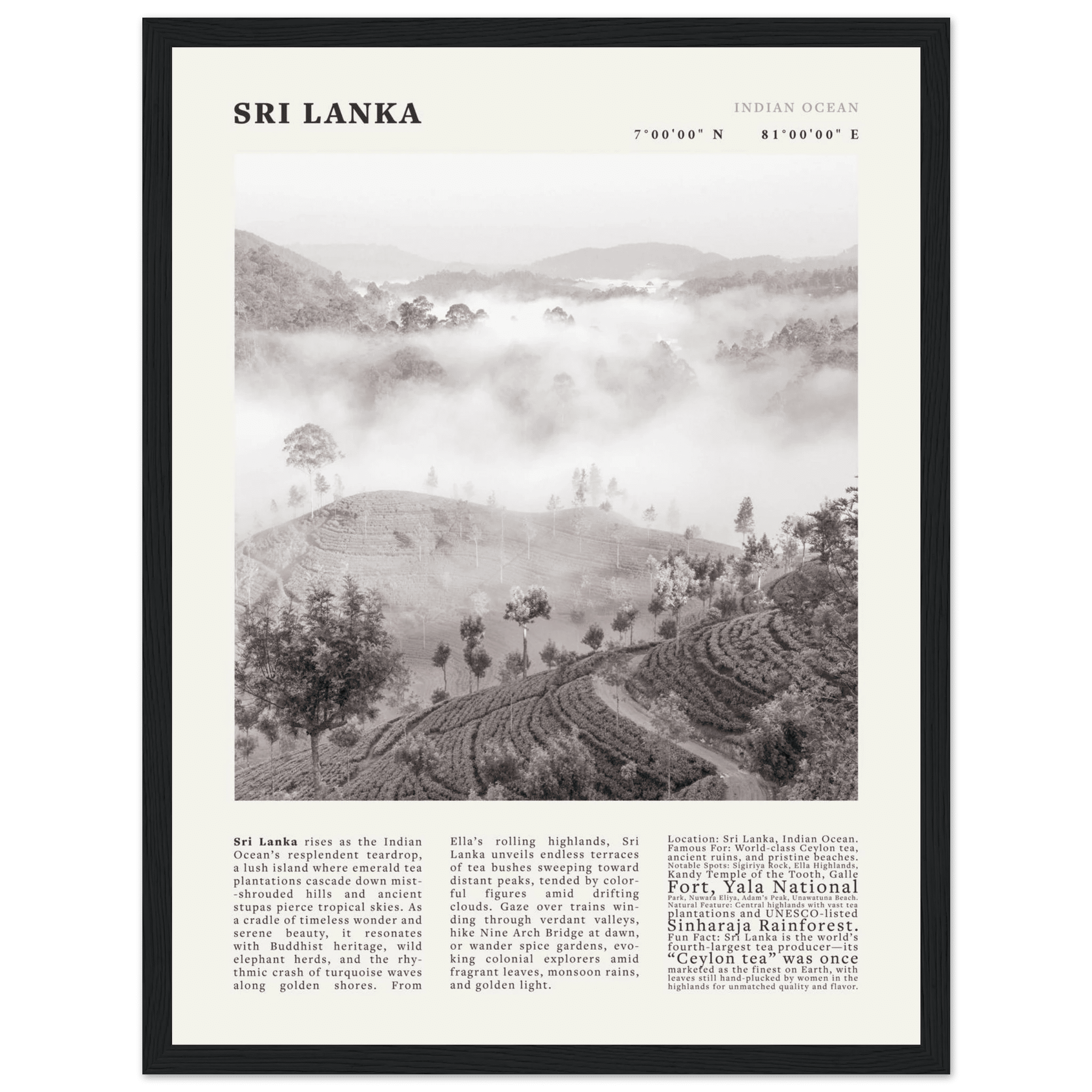 Sri Lanka Poster Black and White – Vintage Ceylon Tea Plantation Print (Digital & Printed Options) - Evergreen Posters