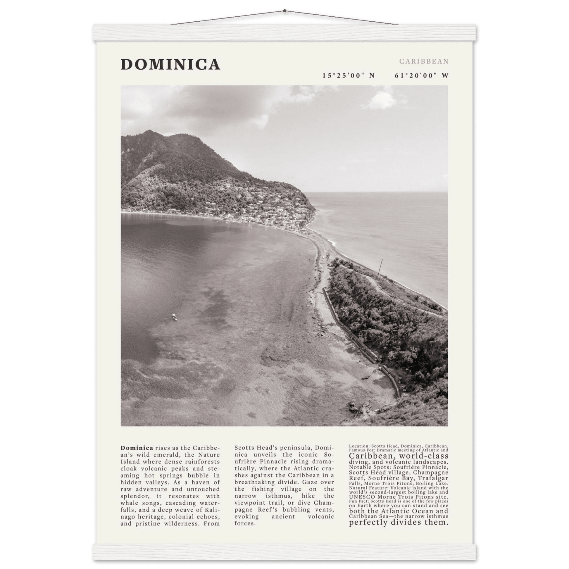 Dominica Poster Black and White – Vintage Caribbean Rainforest Island Print (Digital & Printed Options) - Evergreen Posters