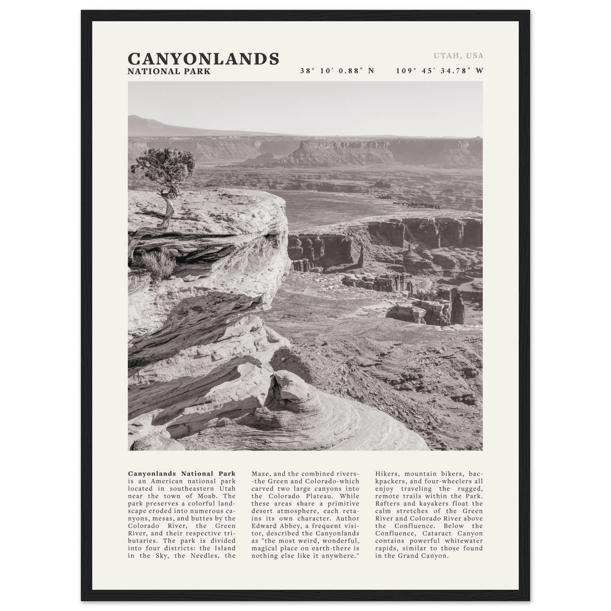 Canyonlands National Park Poster | Black & White Utah Wall Art | Canyon Travel Print - Evergreen Posters