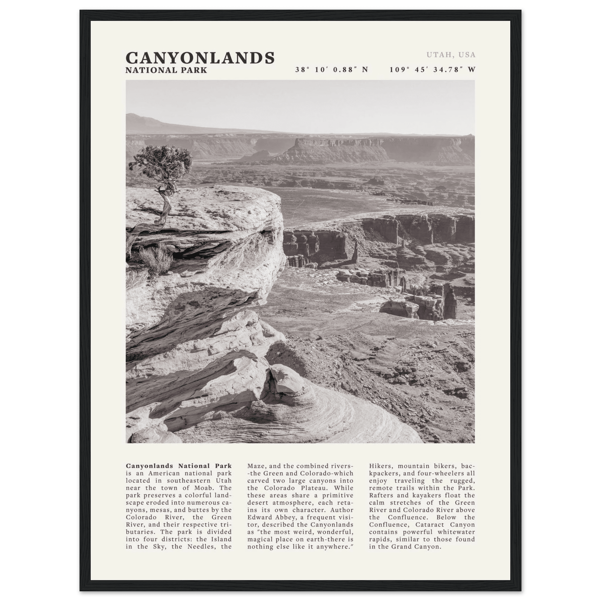 Canyonlands National Park Poster | Black & White Utah Wall Art | Canyon Travel Print - Evergreen Posters