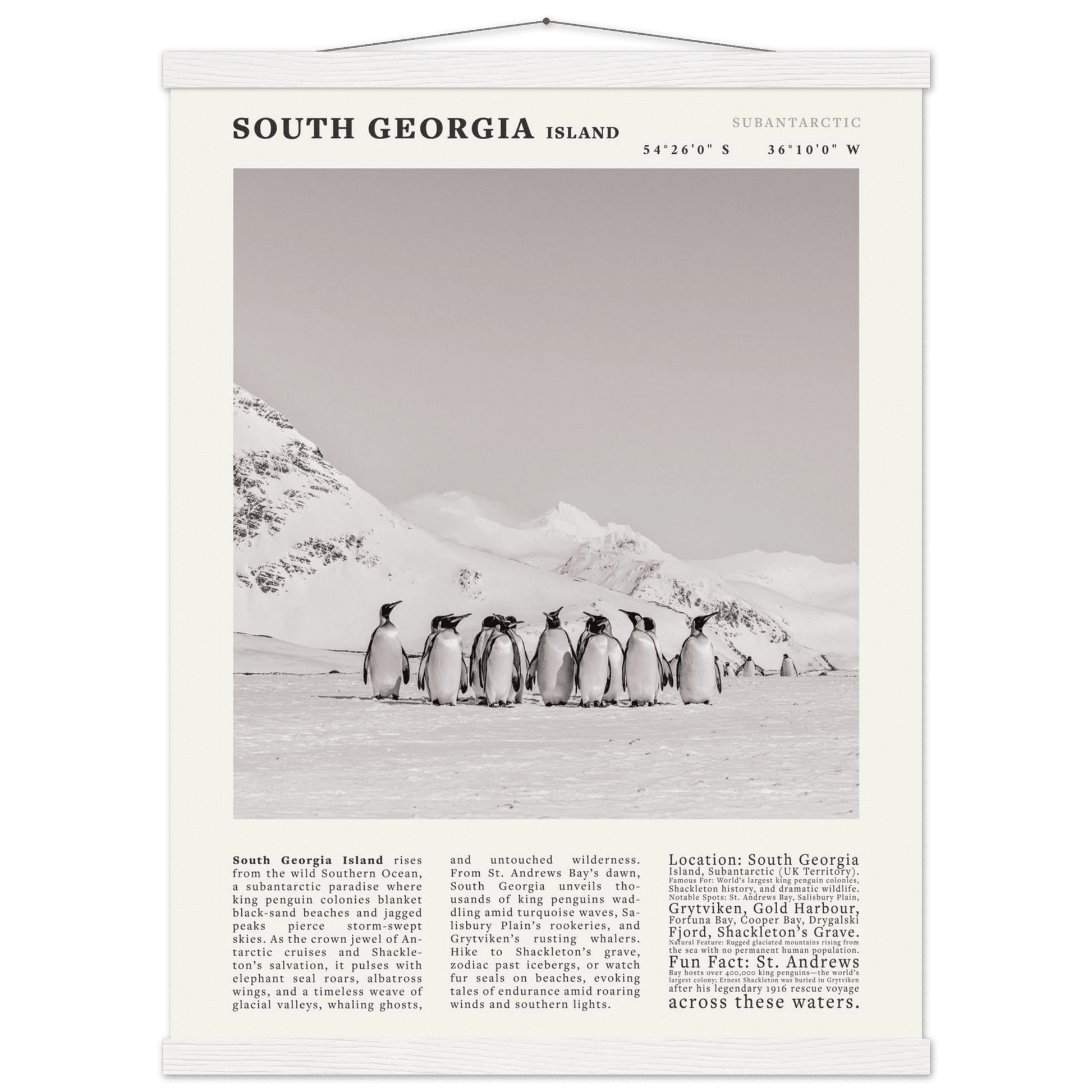South Georgia Island Black and White Vintage Poster - Evergreen Posters