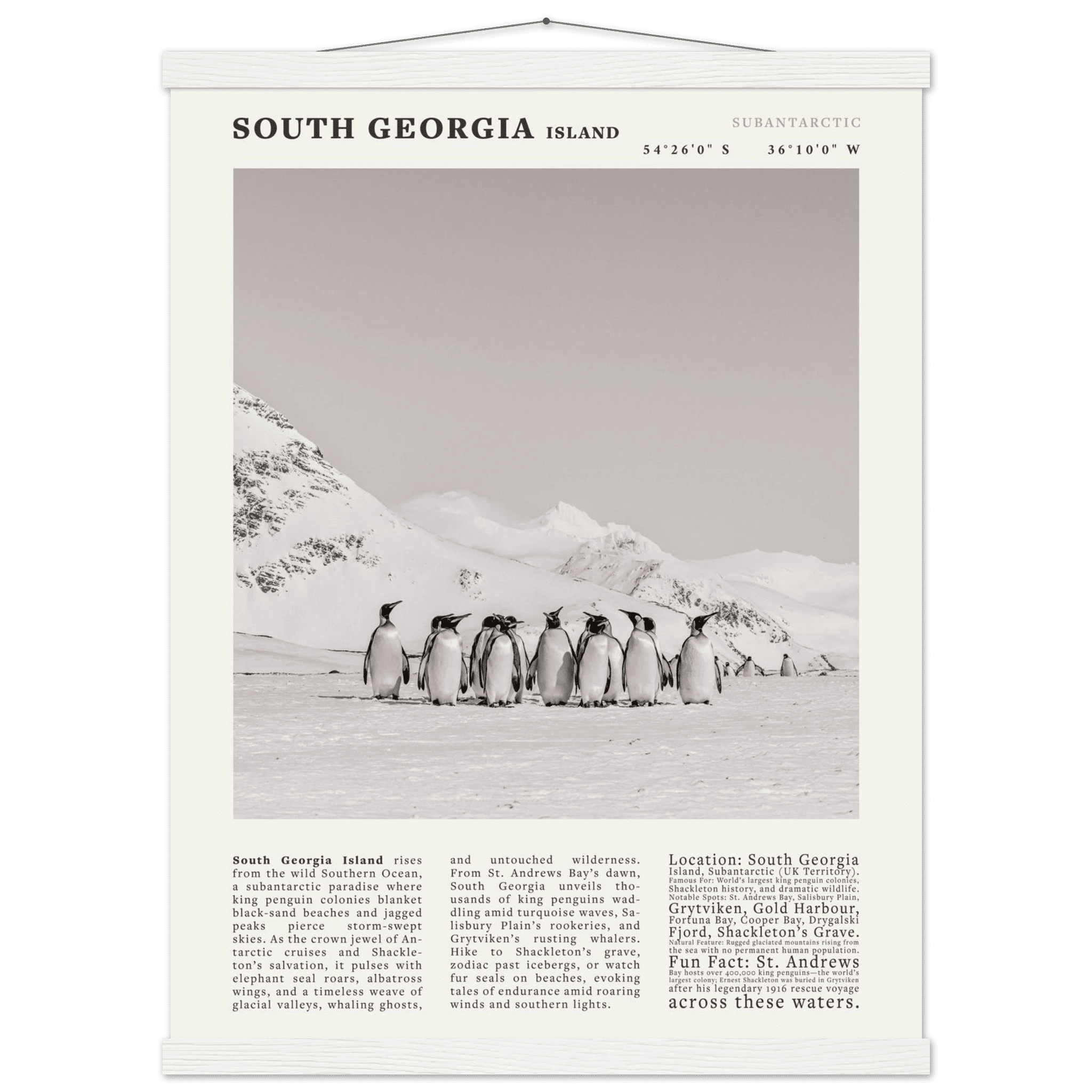 South Georgia Island Black and White Vintage Poster - Evergreen Posters