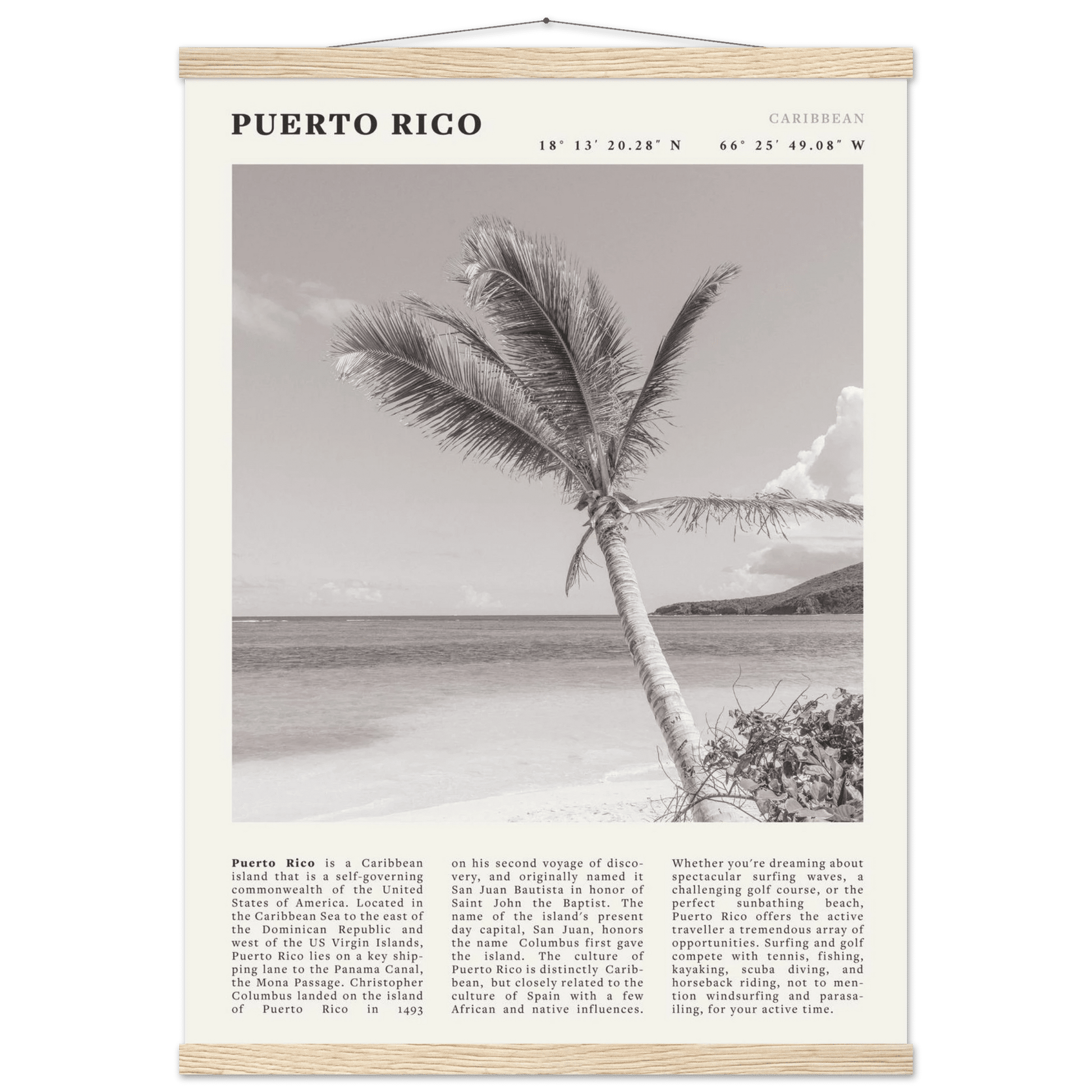 Puerto Rico Poster Black and White – Vintage Caribbean Palm Beach Print (Digital & Printed Options) - Evergreen Posters