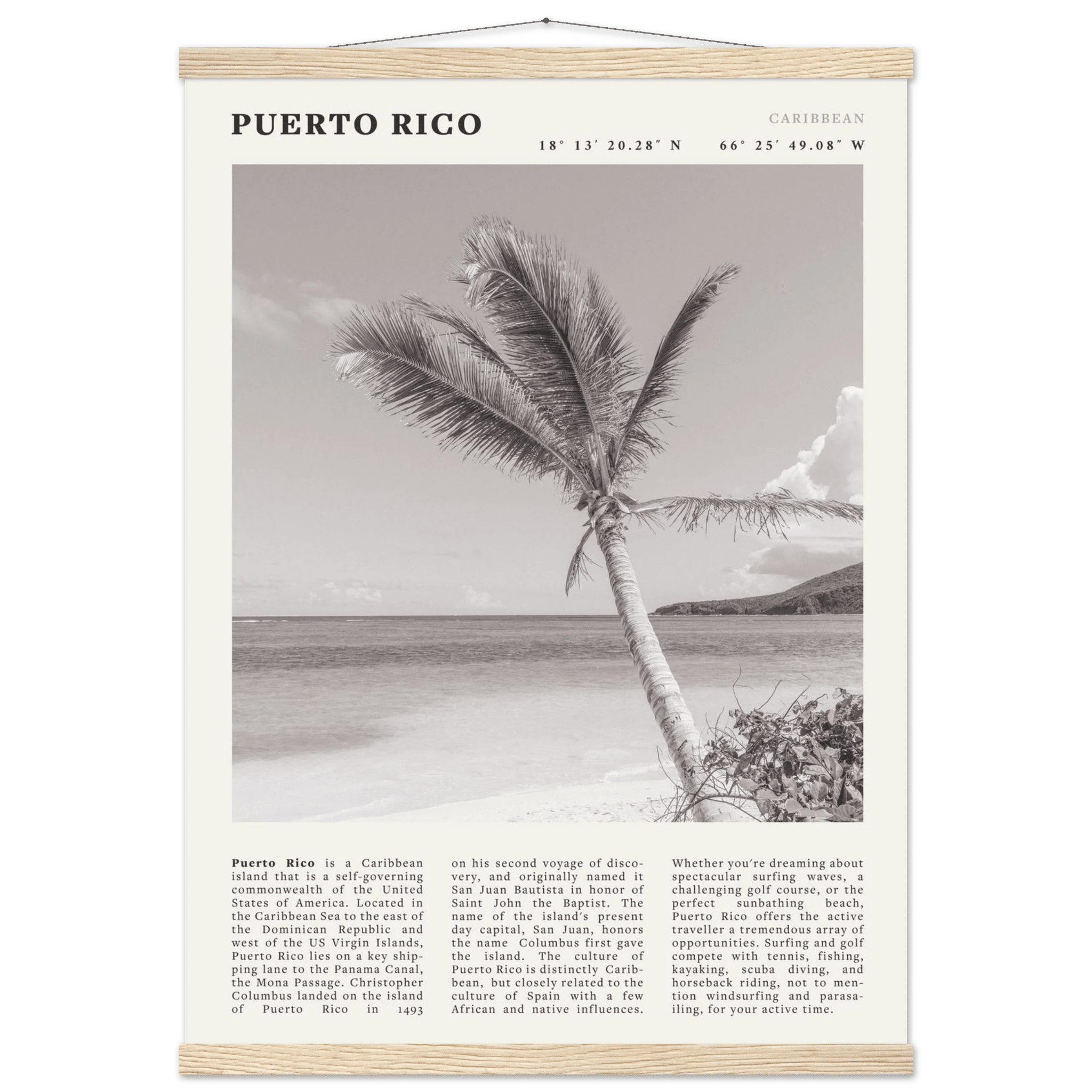 Puerto Rico Poster Black and White – Vintage Caribbean Palm Beach Print (Digital & Printed Options) - Evergreen Posters