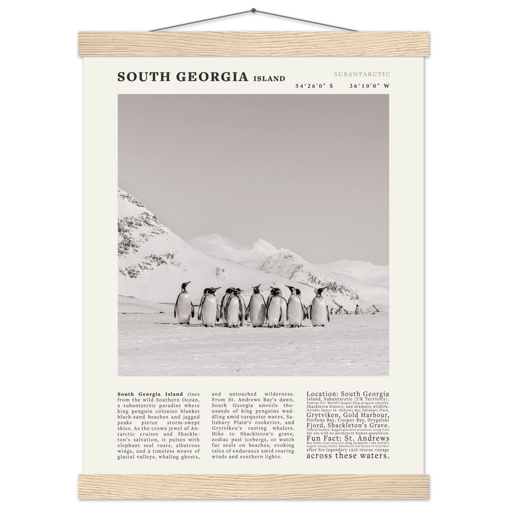 South Georgia Island Black and White Vintage Poster - Evergreen Posters