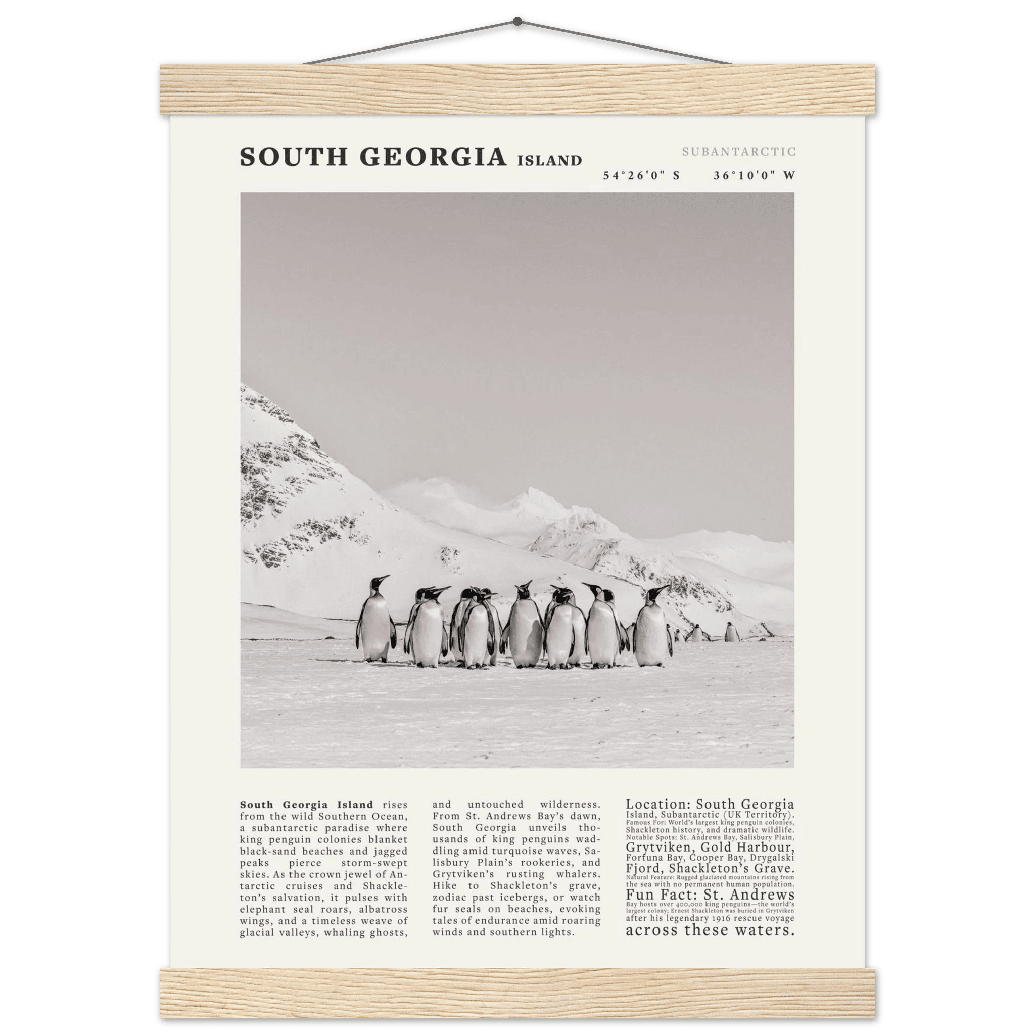 South Georgia Island Black and White Vintage Poster - Evergreen Posters