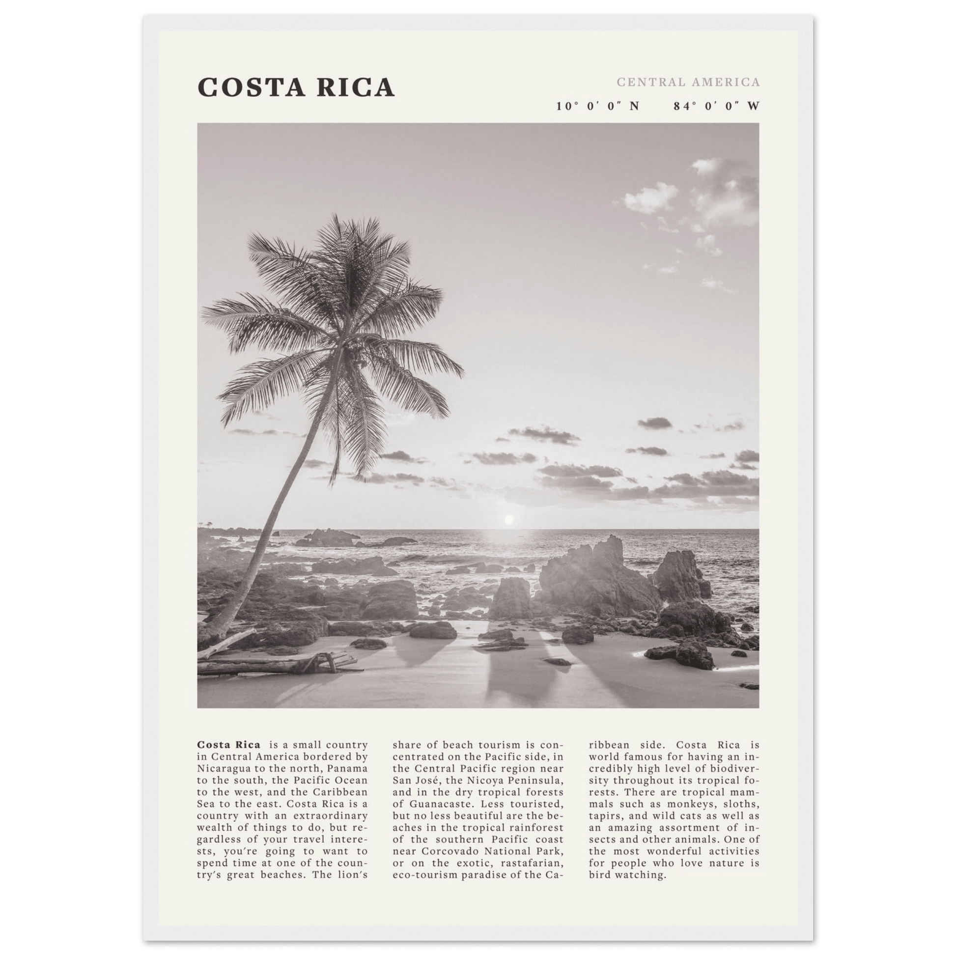 Costa Rica Poster | Black & White Palm Tree Beach Wall Art | Travel Print Decor - Evergreen Posters
