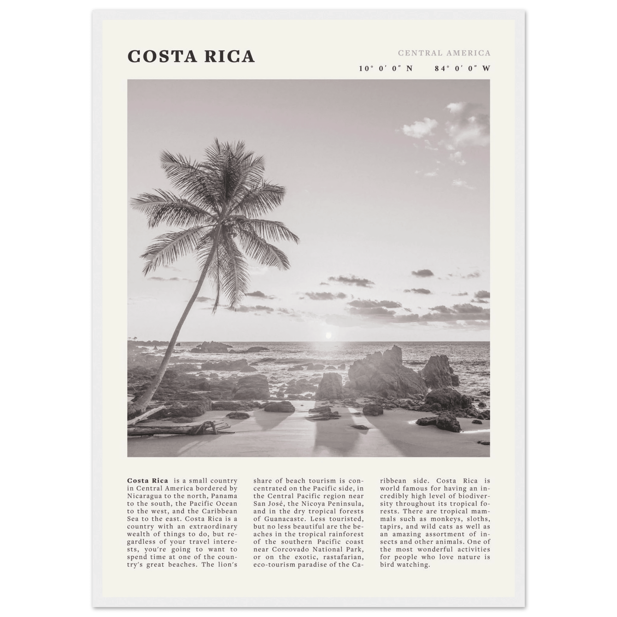 Costa Rica Poster | Black & White Palm Tree Beach Wall Art | Travel Print Decor - Evergreen Posters