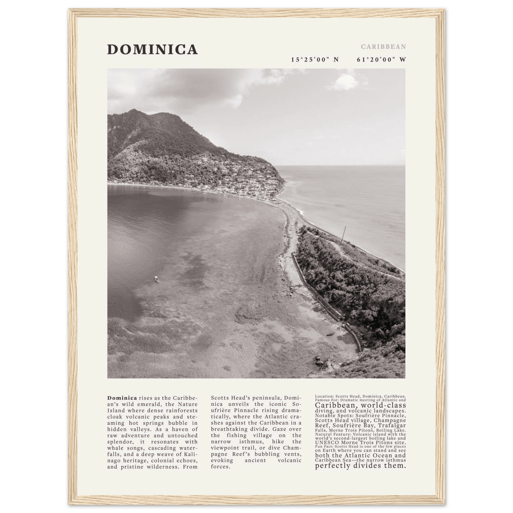 Dominica Poster Black and White – Vintage Caribbean Rainforest Island Print (Digital & Printed Options) - Evergreen Posters