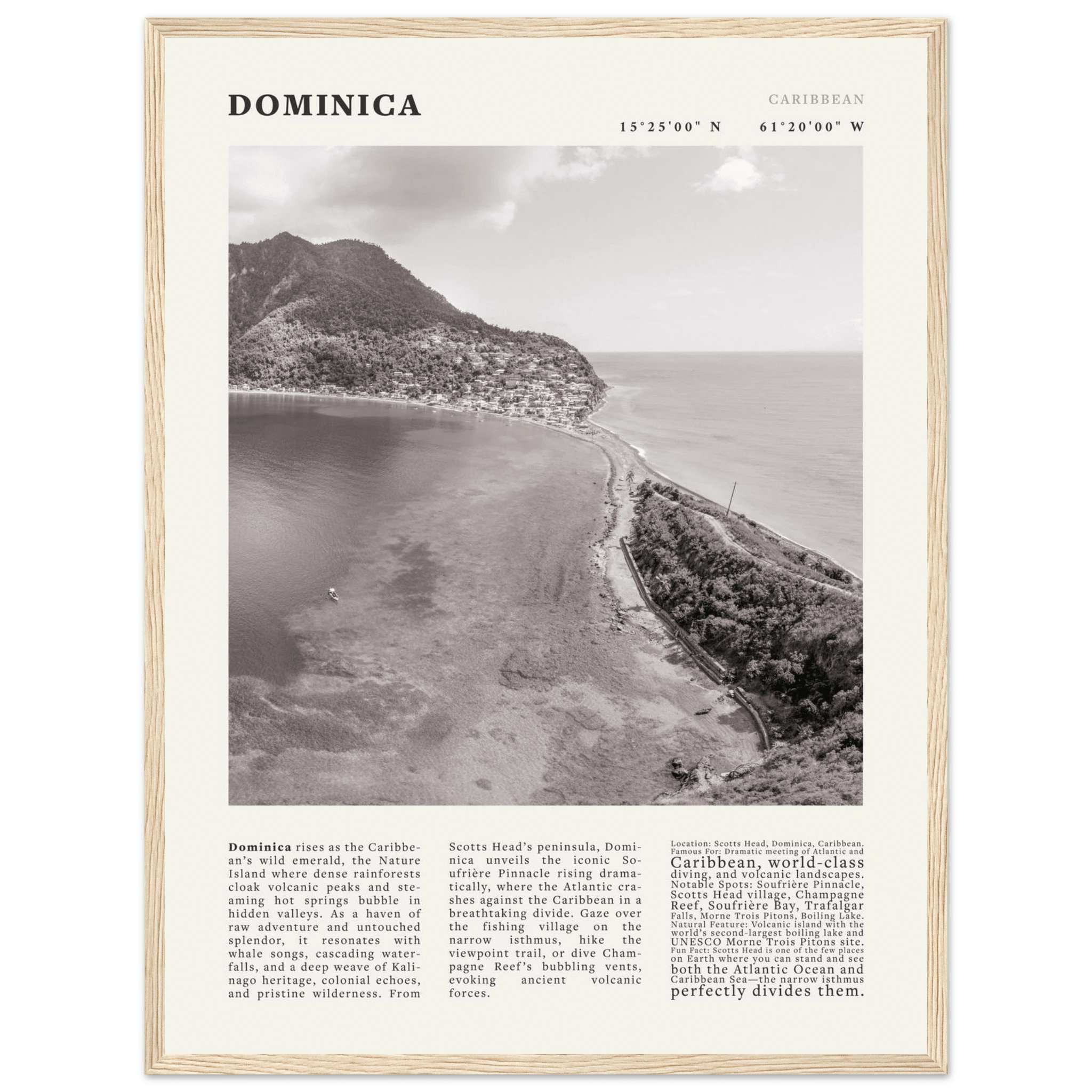 Dominica Poster Black and White – Vintage Caribbean Rainforest Island Print (Digital & Printed Options) - Evergreen Posters