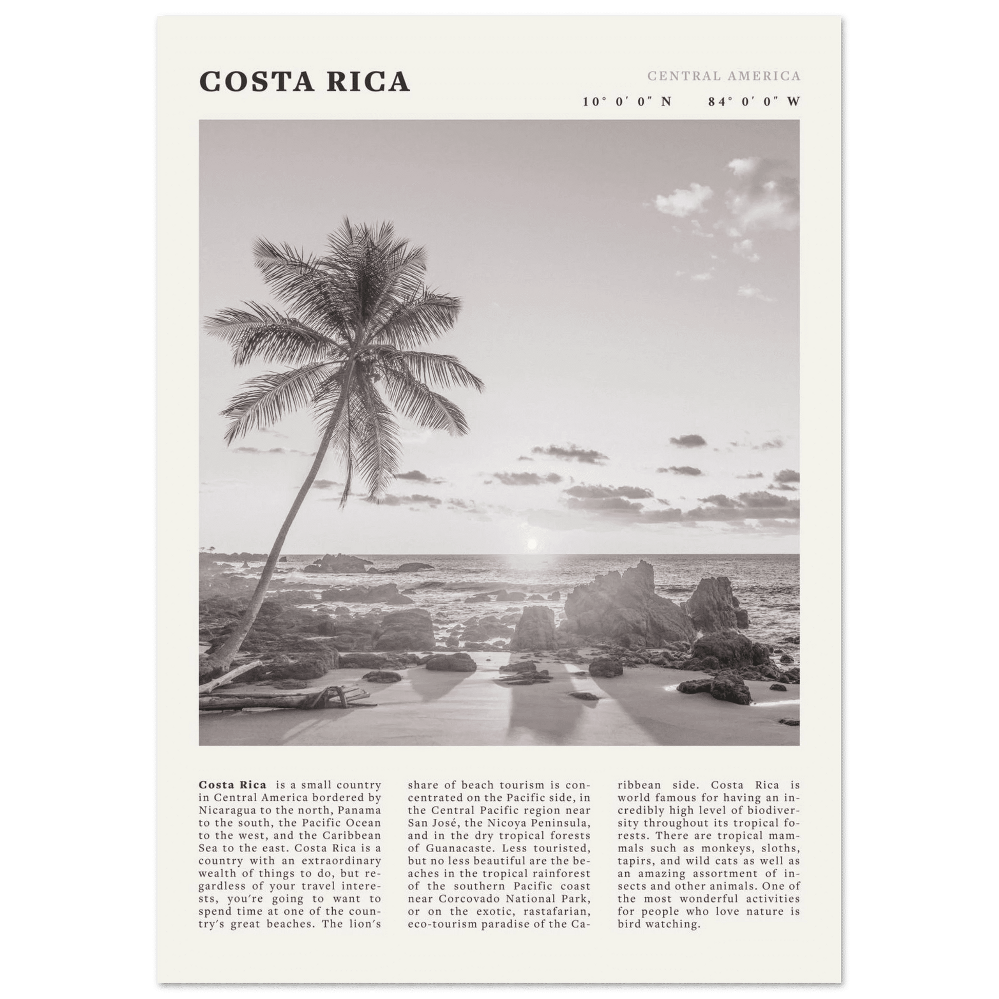 Costa Rica Poster | Black & White Palm Tree Beach Wall Art | Travel Print Decor - Evergreen Posters