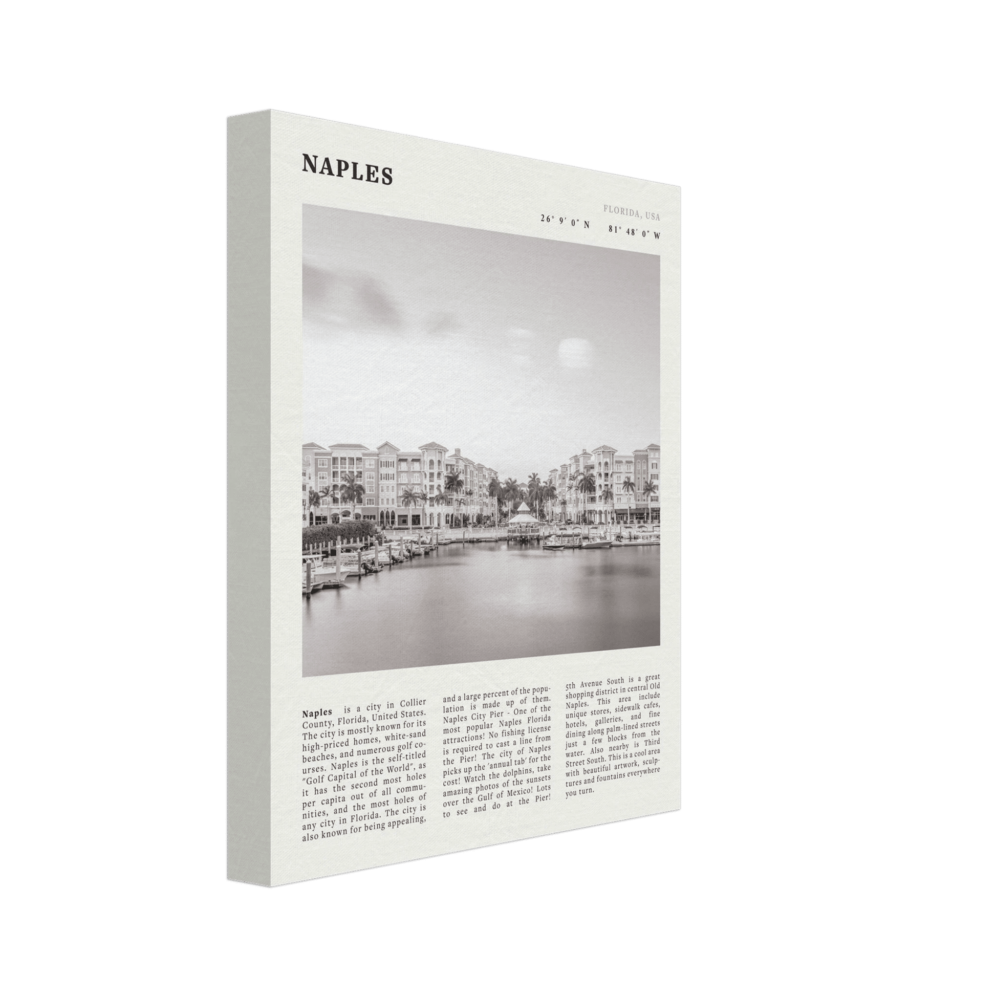 Naples Florida Poster | Black & White Gulf Coast Wall Art | FL Travel Print - Evergreen Posters