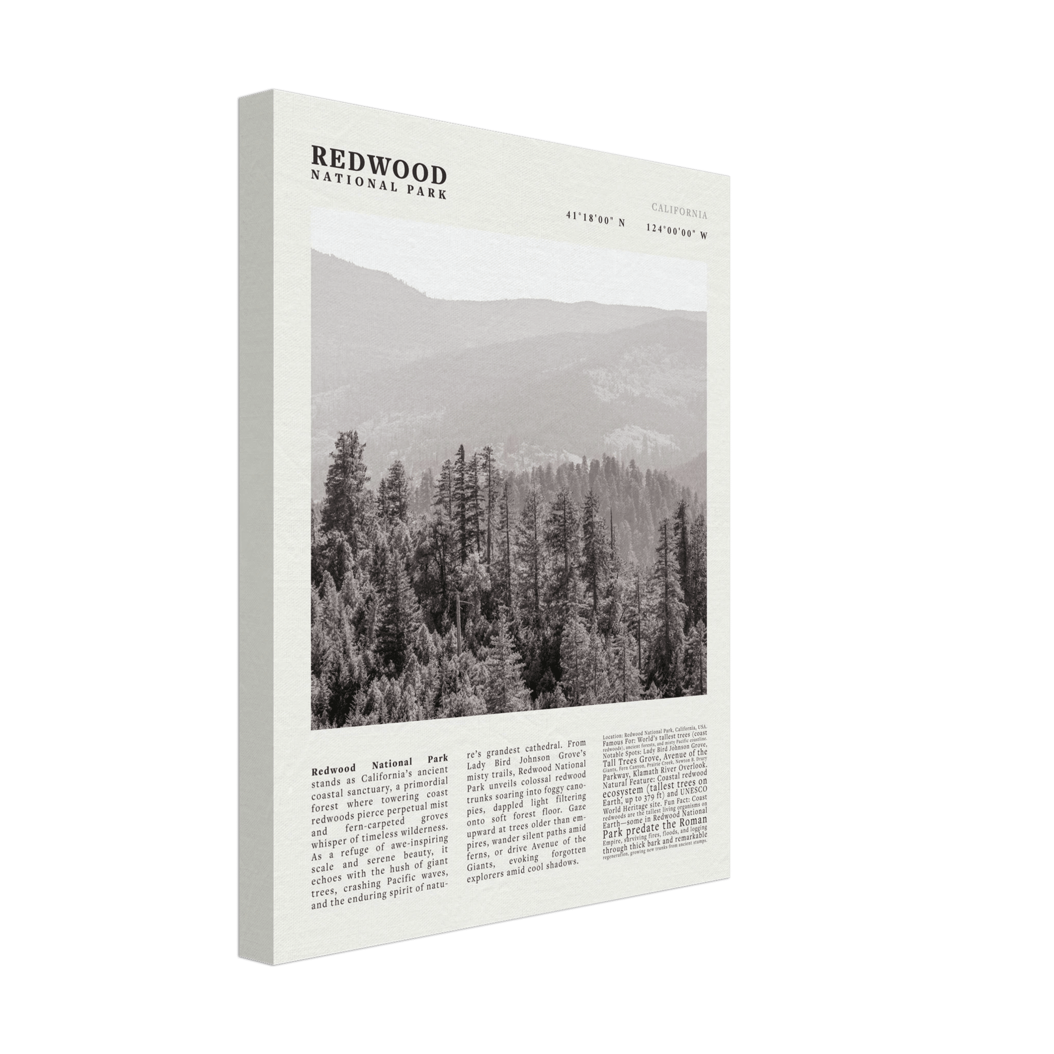 Redwood National Park Poster Black and White – Vintage Foggy Redwood Forest Print - Evergreen Posters
