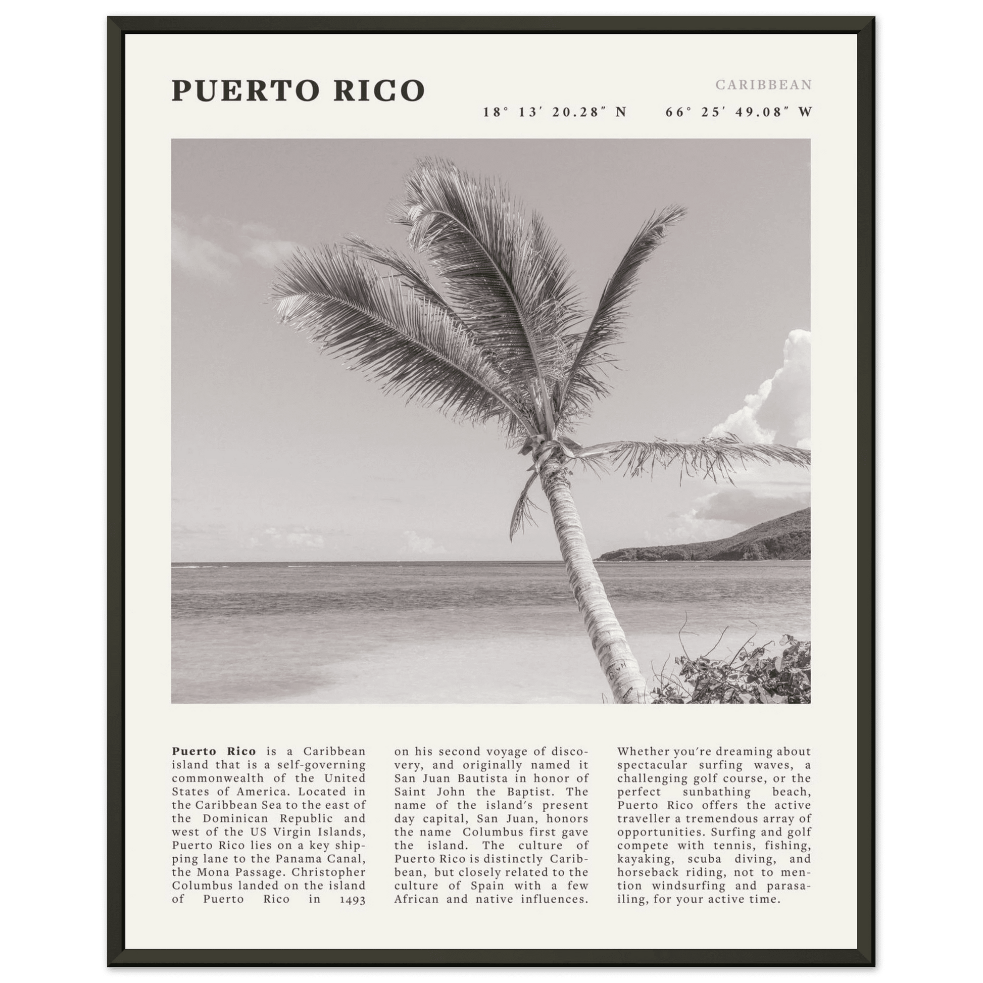 Puerto Rico Poster Black and White – Vintage Caribbean Palm Beach Print (Digital & Printed Options) - Evergreen Posters