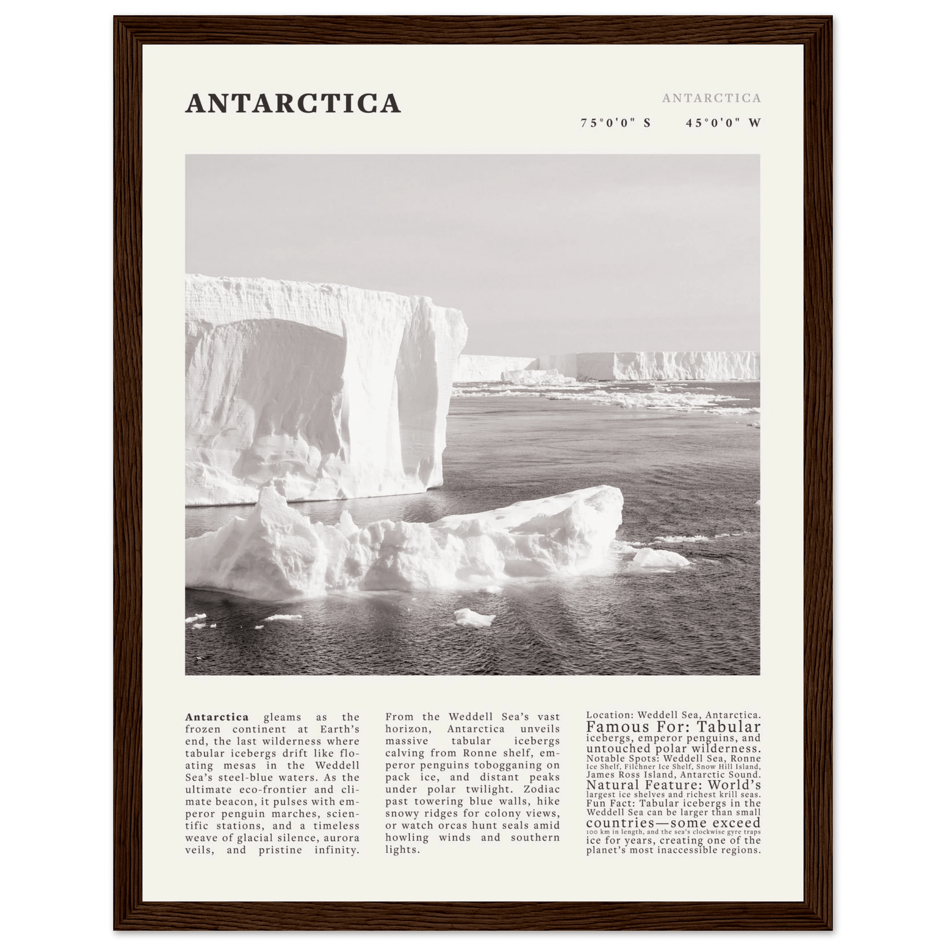 Antarctica Poster Black and White – Vintage Weddell Sea Iceberg Print (Digital & Printed Options) - Evergreen Posters