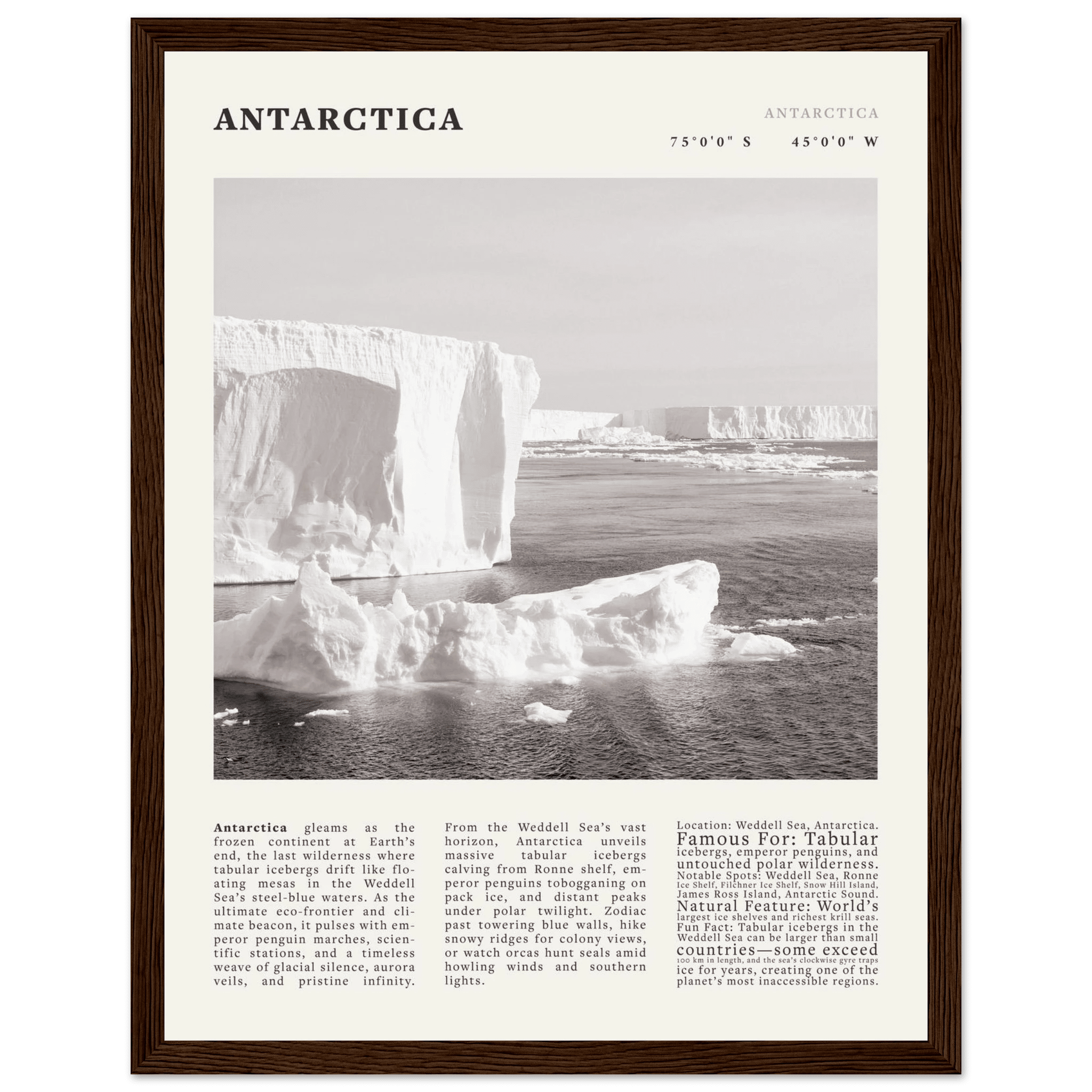 Antarctica Poster Black and White – Vintage Weddell Sea Iceberg Print (Digital & Printed Options) - Evergreen Posters