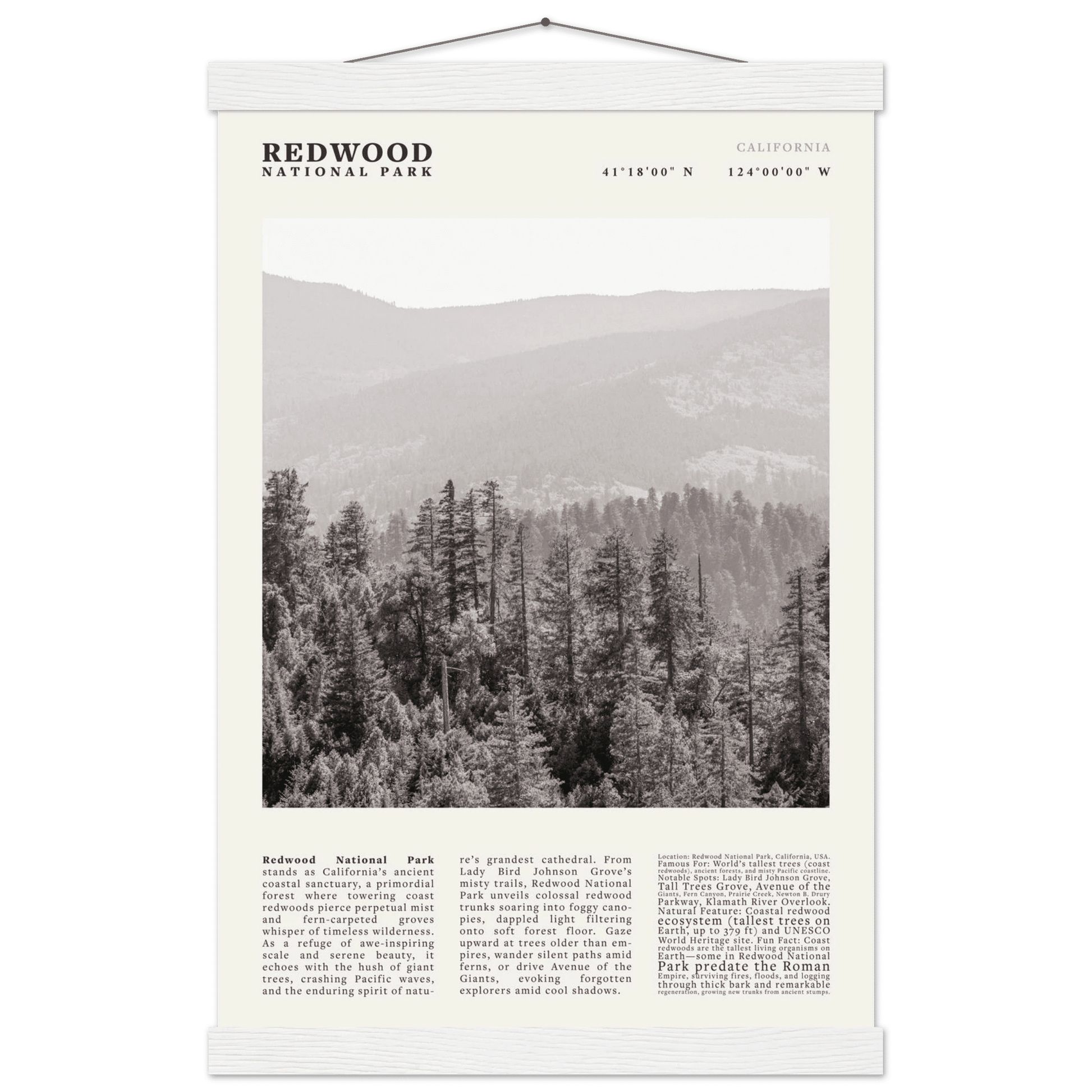 Redwood National Park Poster Black and White – Vintage Foggy Redwood Forest Print - Evergreen Posters