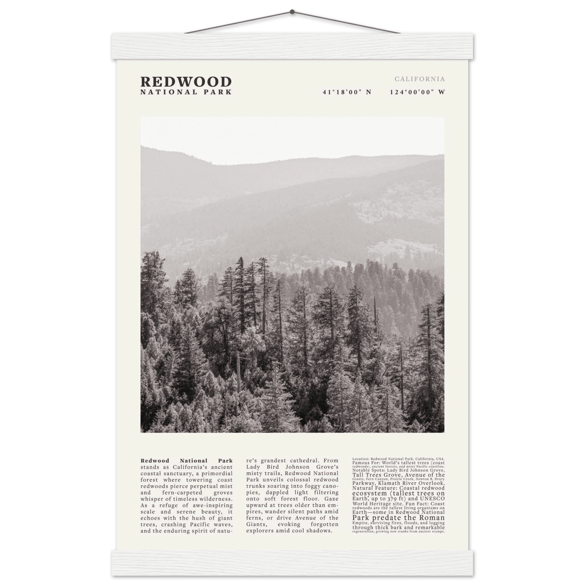 Redwood National Park Poster Black and White – Vintage Foggy Redwood Forest Print - Evergreen Posters