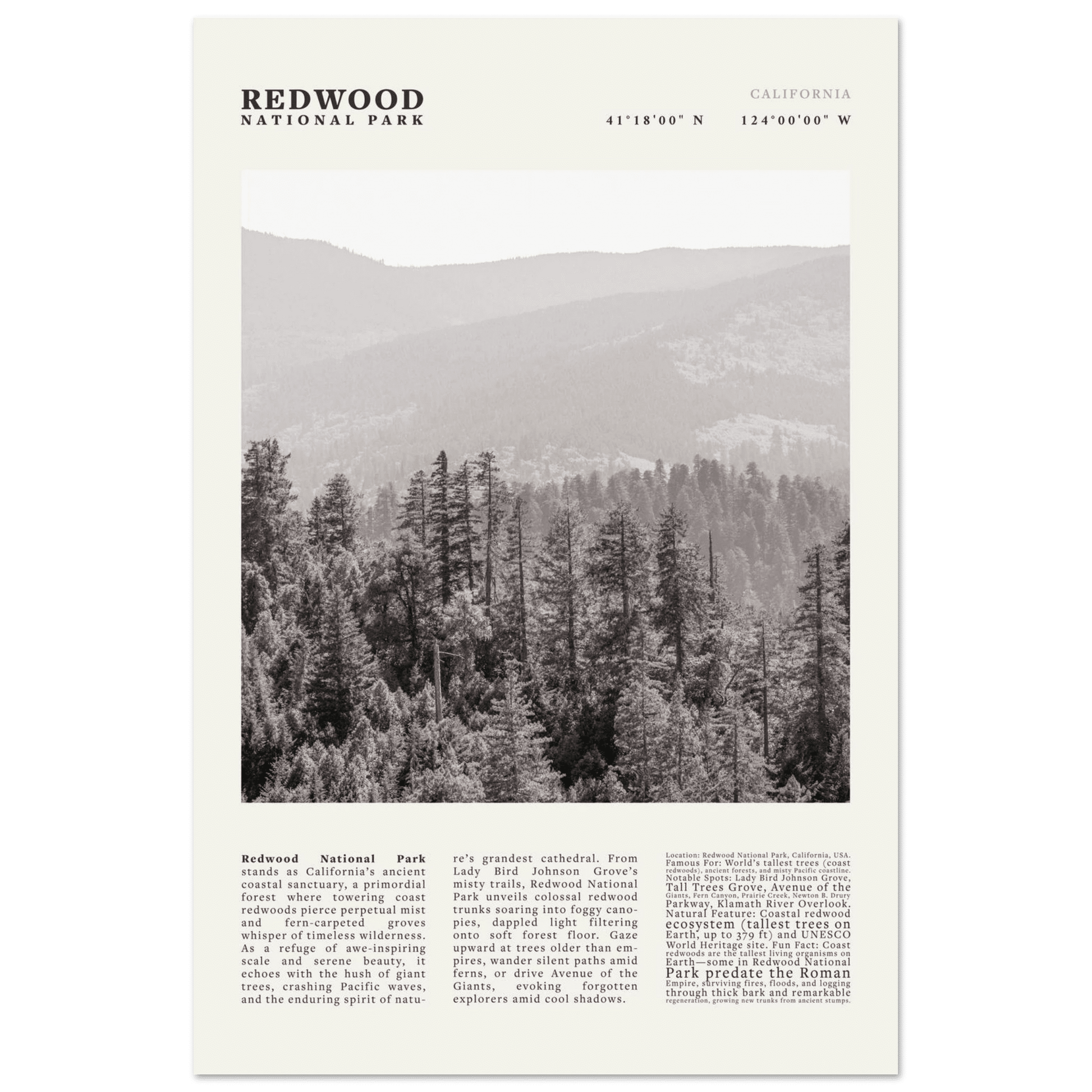 Redwood National Park Poster Black and White – Vintage Foggy Redwood Forest Print - Evergreen Posters