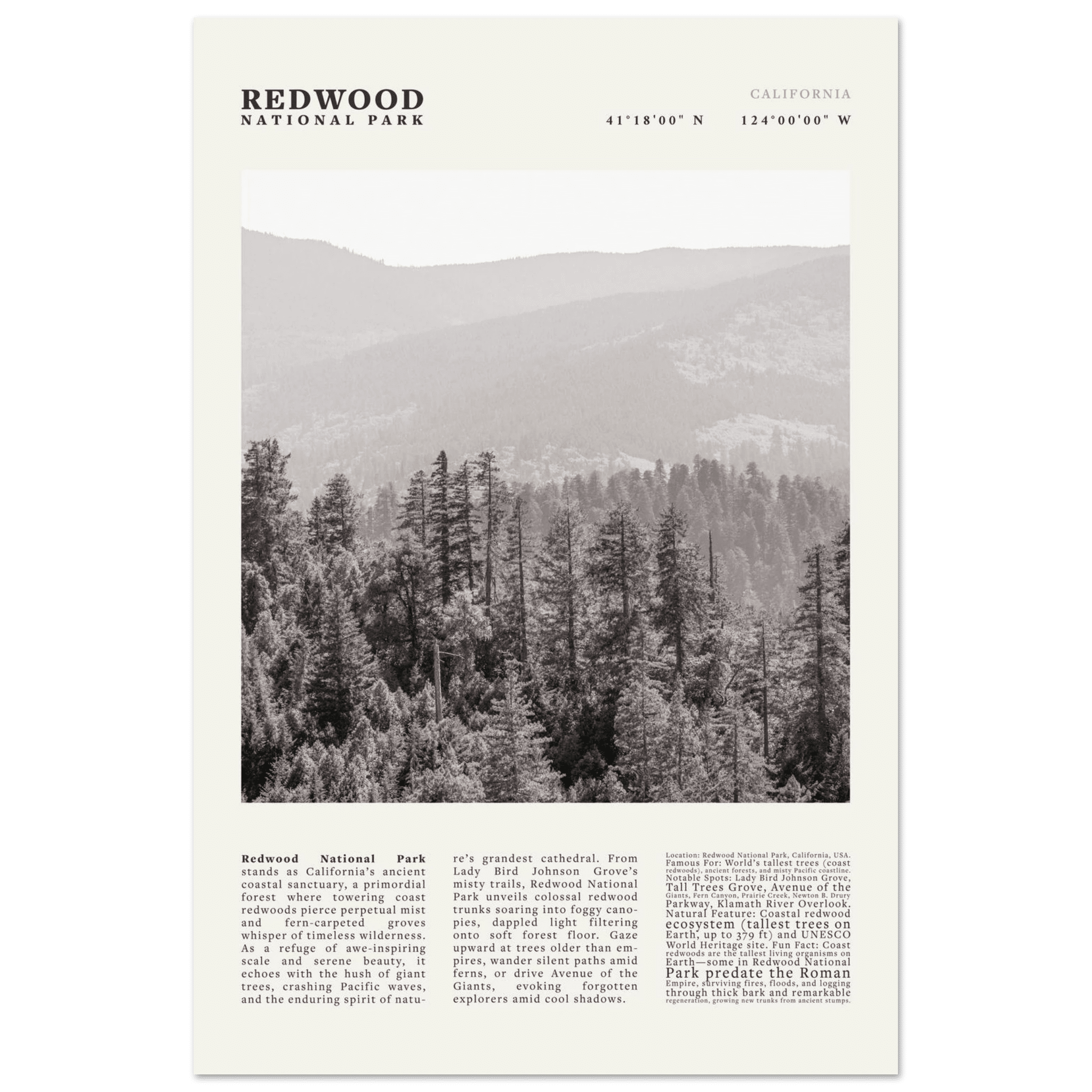 Redwood National Park Poster Black and White – Vintage Foggy Redwood Forest Print - Evergreen Posters