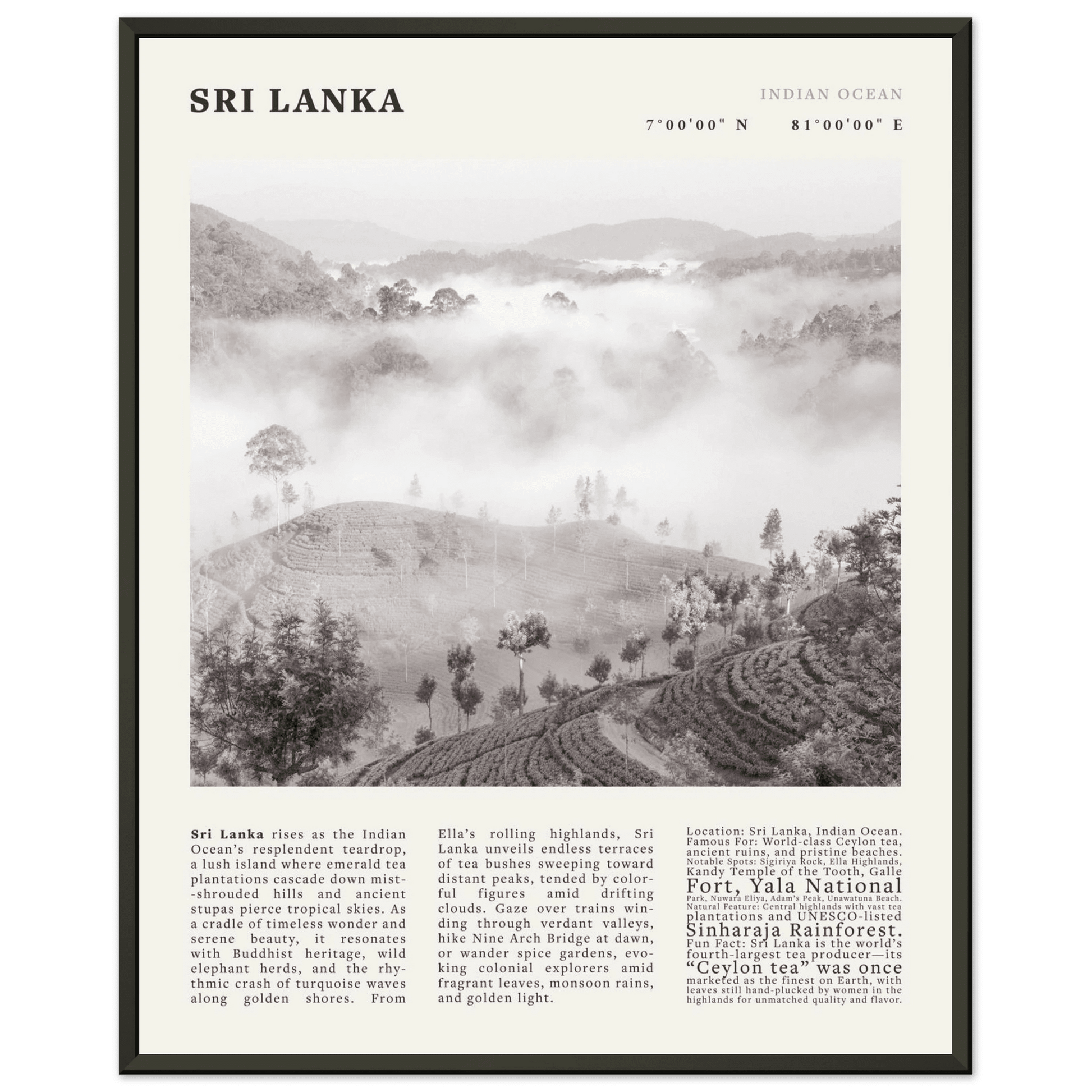 Sri Lanka Poster Black and White – Vintage Ceylon Tea Plantation Print (Digital & Printed Options) - Evergreen Posters