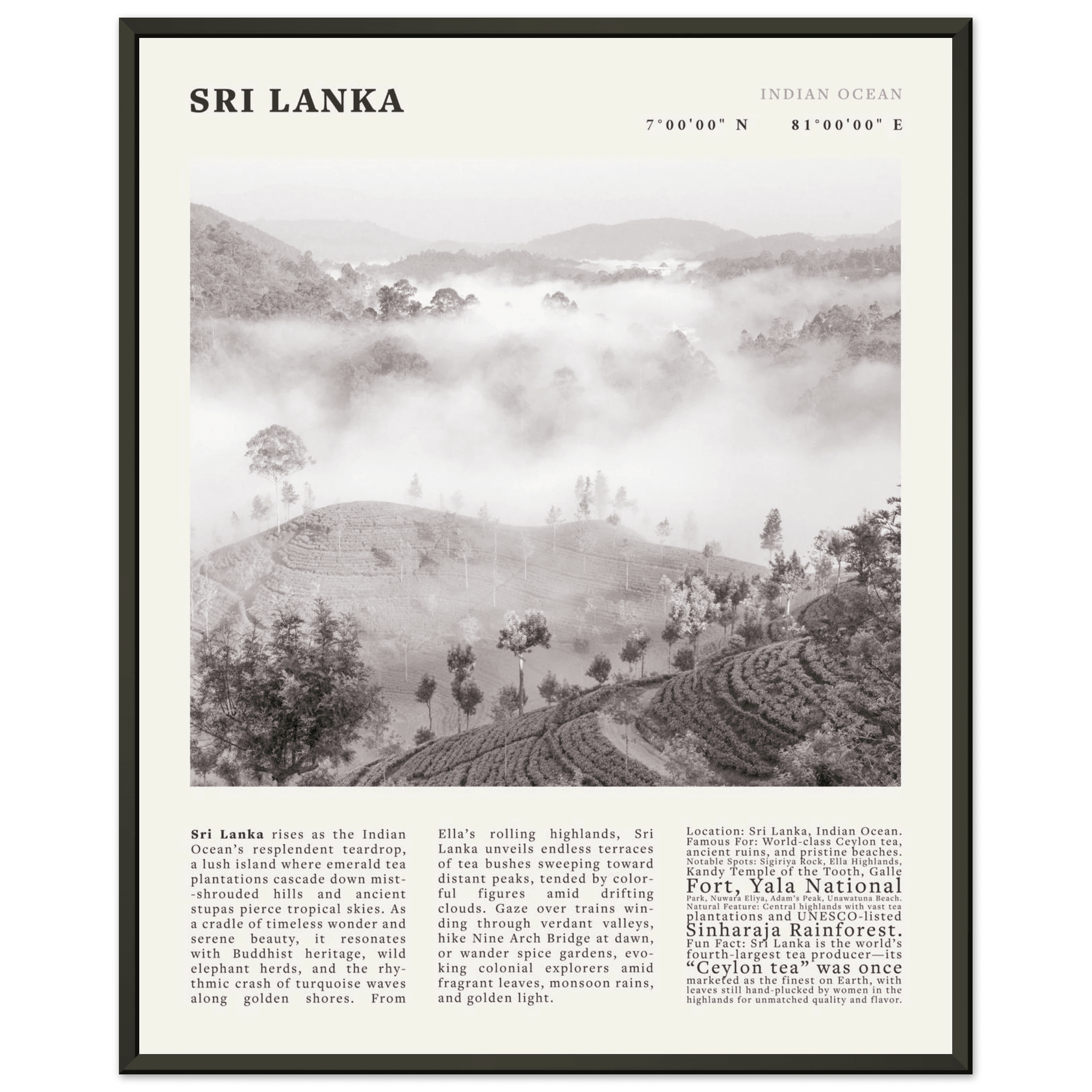Sri Lanka Poster Black and White – Vintage Ceylon Tea Plantation Print (Digital & Printed Options) - Evergreen Posters