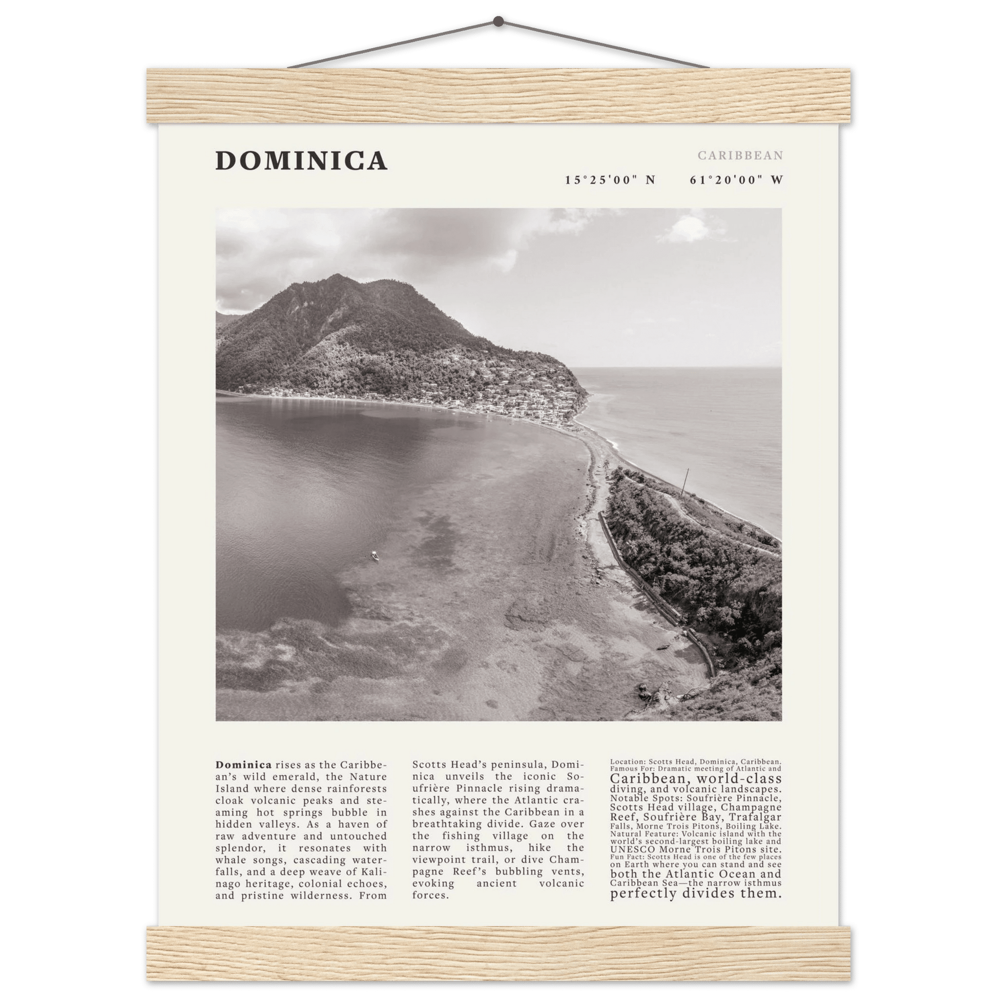 Dominica Poster Black and White – Vintage Caribbean Rainforest Island Print (Digital & Printed Options) - Evergreen Posters