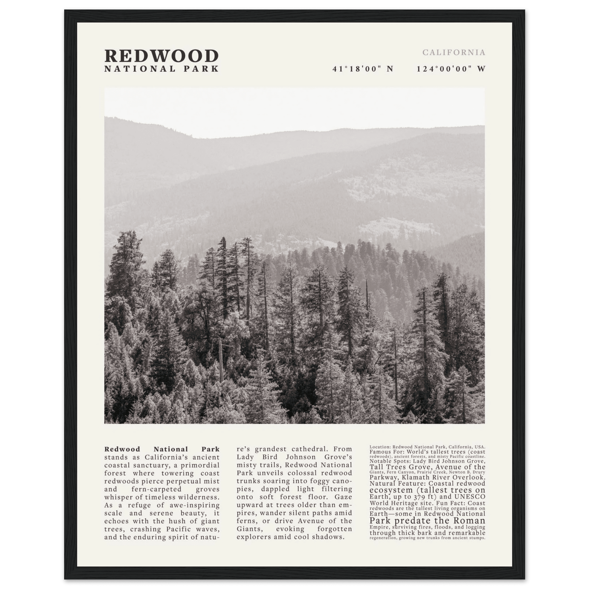 Redwood National Park Poster Black and White – Vintage Foggy Redwood Forest Print - Evergreen Posters