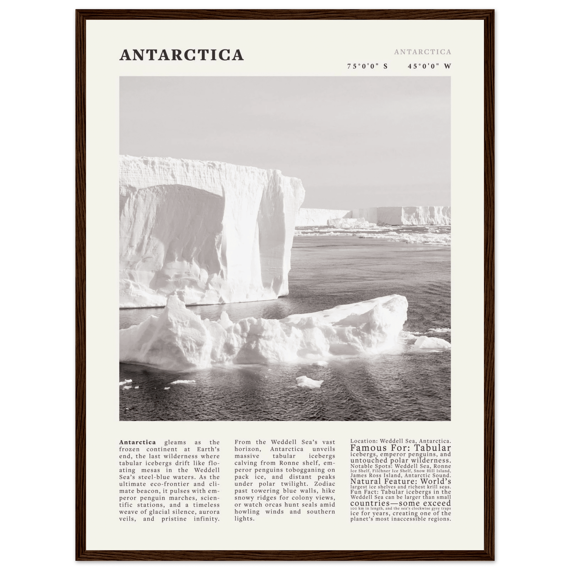 Antarctica Poster Black and White – Vintage Weddell Sea Iceberg Print (Digital & Printed Options) - Evergreen Posters
