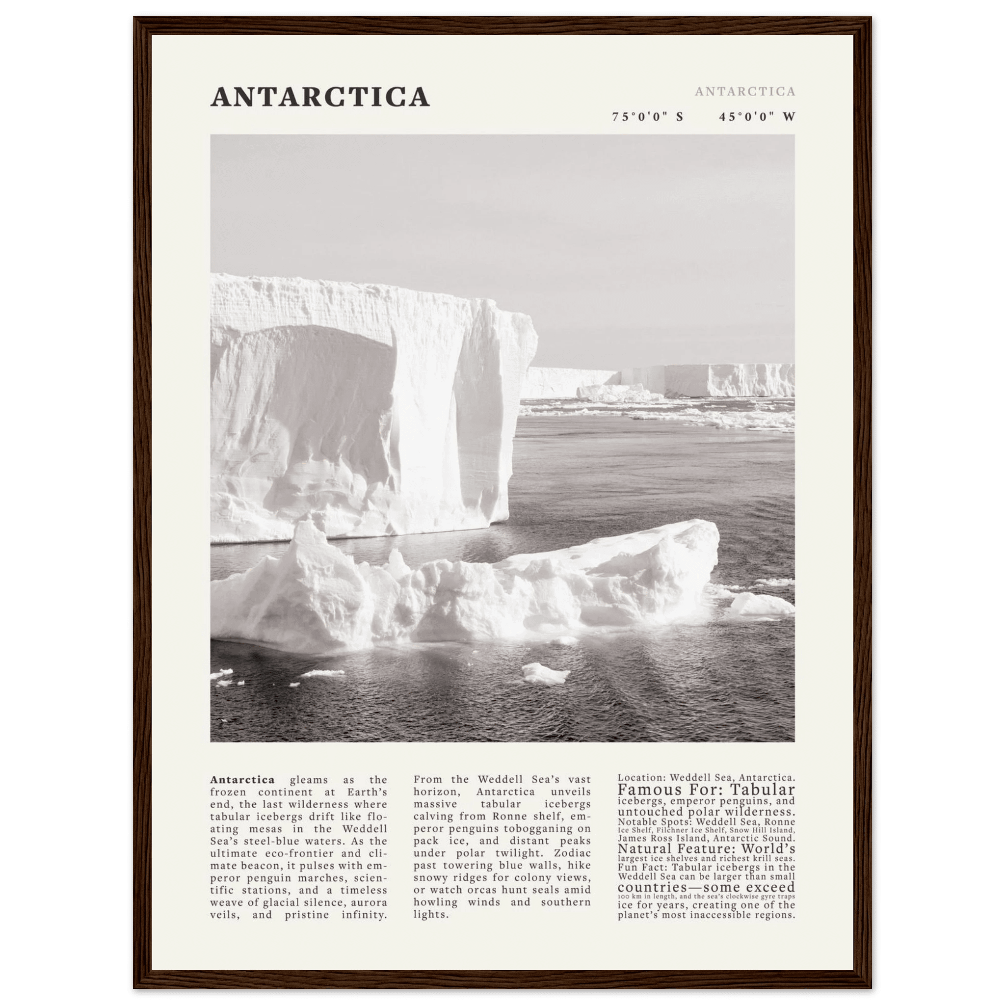 Antarctica Poster Black and White – Vintage Weddell Sea Iceberg Print (Digital & Printed Options) - Evergreen Posters