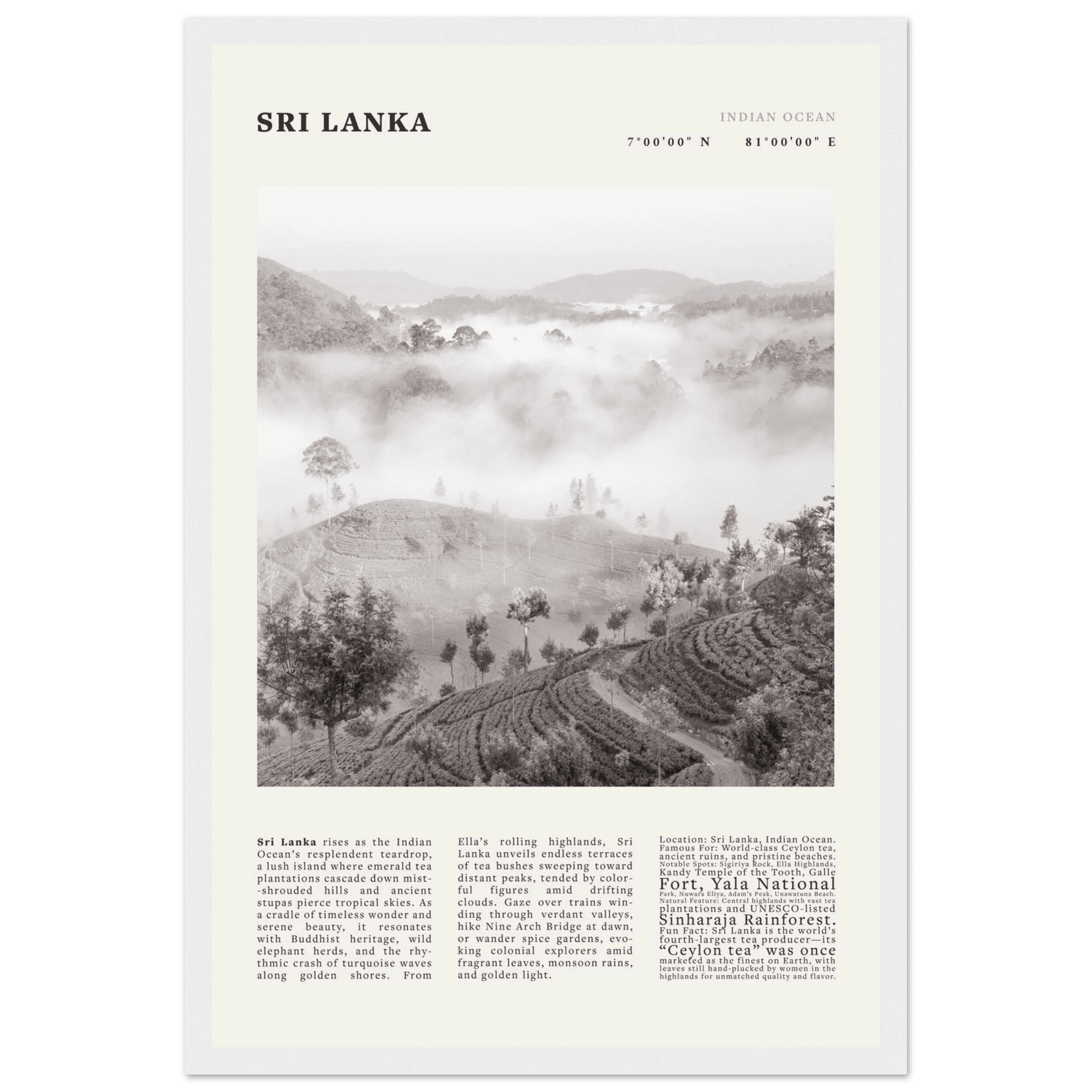 Sri Lanka Poster Black and White – Vintage Ceylon Tea Plantation Print (Digital & Printed Options) - Evergreen Posters