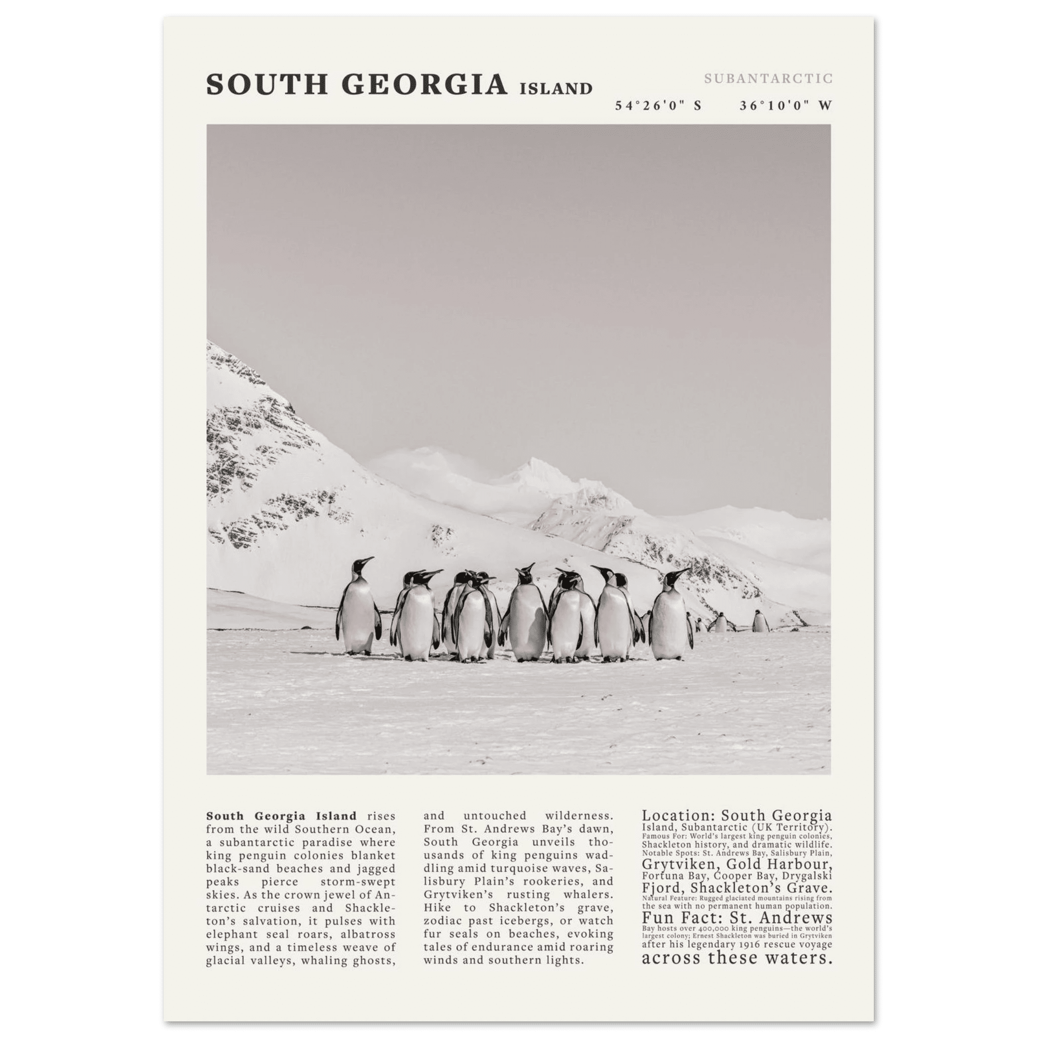 South Georgia Island Black and White Vintage Poster - Evergreen Posters