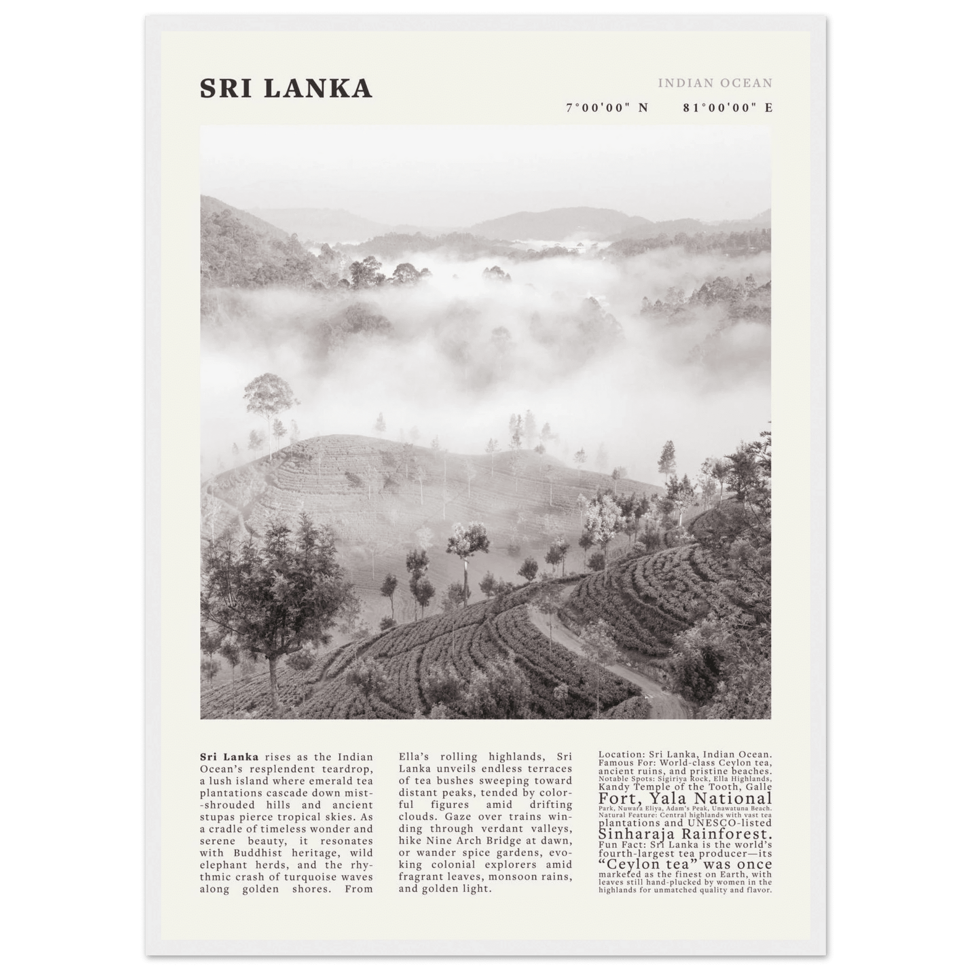 Sri Lanka Poster Black and White – Vintage Ceylon Tea Plantation Print (Digital & Printed Options) - Evergreen Posters