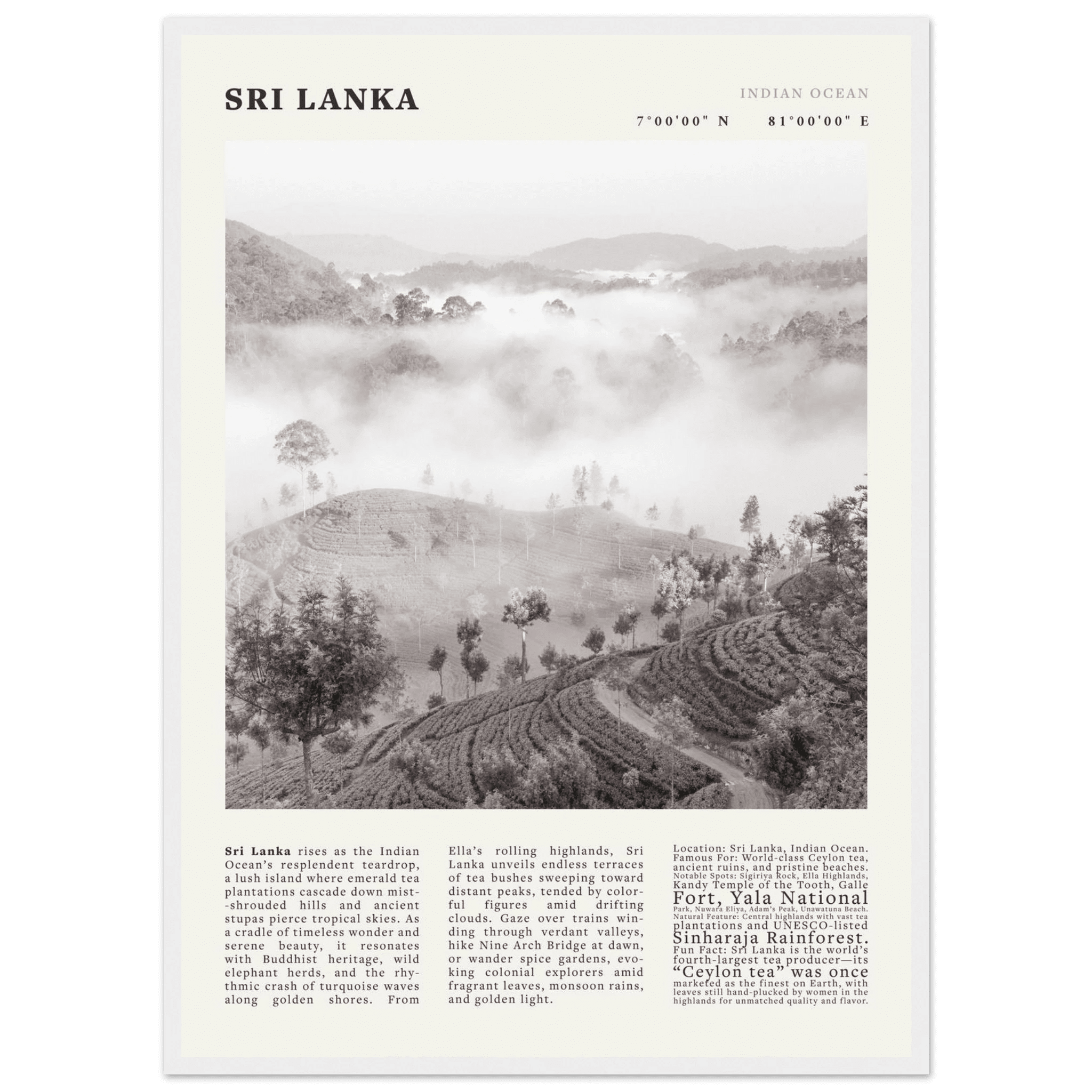 Sri Lanka Poster Black and White – Vintage Ceylon Tea Plantation Print (Digital & Printed Options) - Evergreen Posters