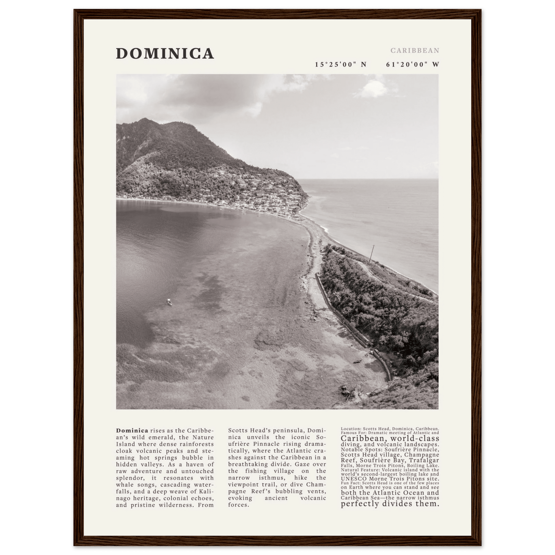 Dominica Poster Black and White – Vintage Caribbean Rainforest Island Print (Digital & Printed Options) - Evergreen Posters