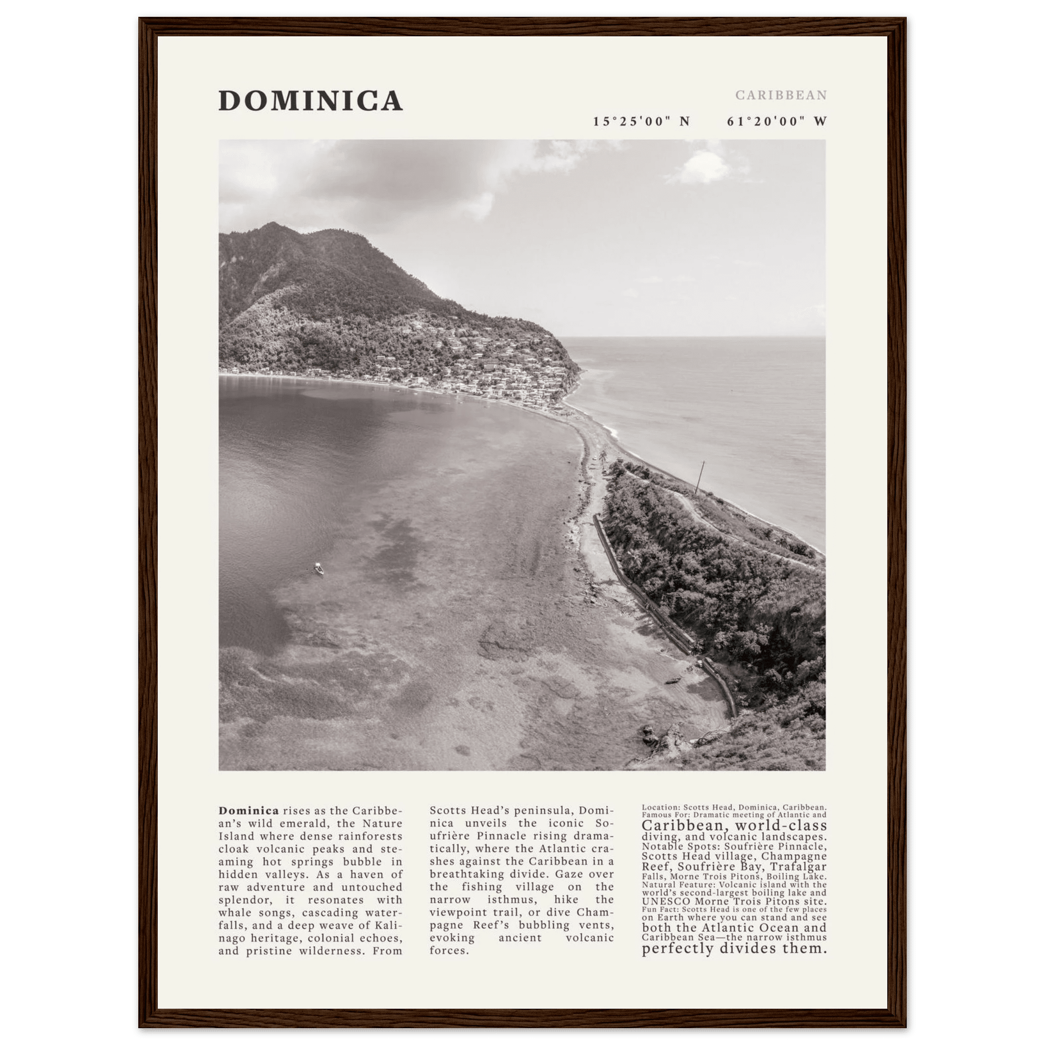 Dominica Poster Black and White – Vintage Caribbean Rainforest Island Print (Digital & Printed Options) - Evergreen Posters