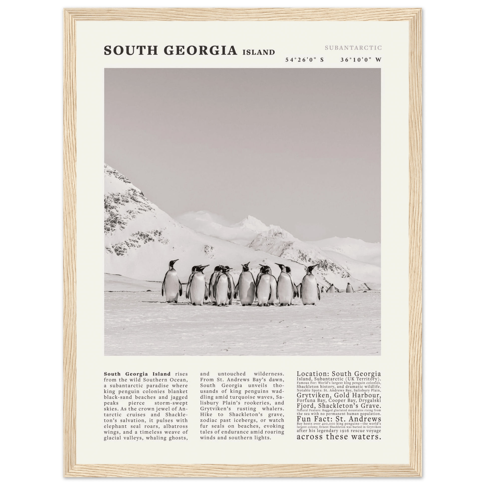 South Georgia Island Black and White Vintage Poster - Evergreen Posters