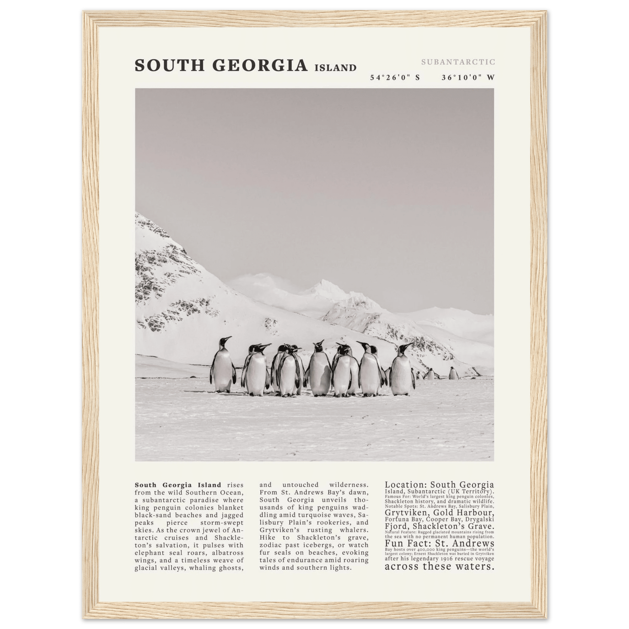 South Georgia Island Black and White Vintage Poster - Evergreen Posters