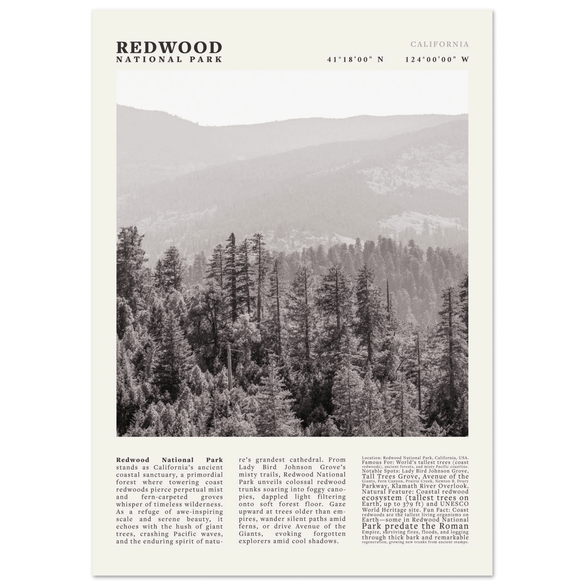 Redwood National Park Poster Black and White – Vintage Foggy Redwood Forest Print - Evergreen Posters