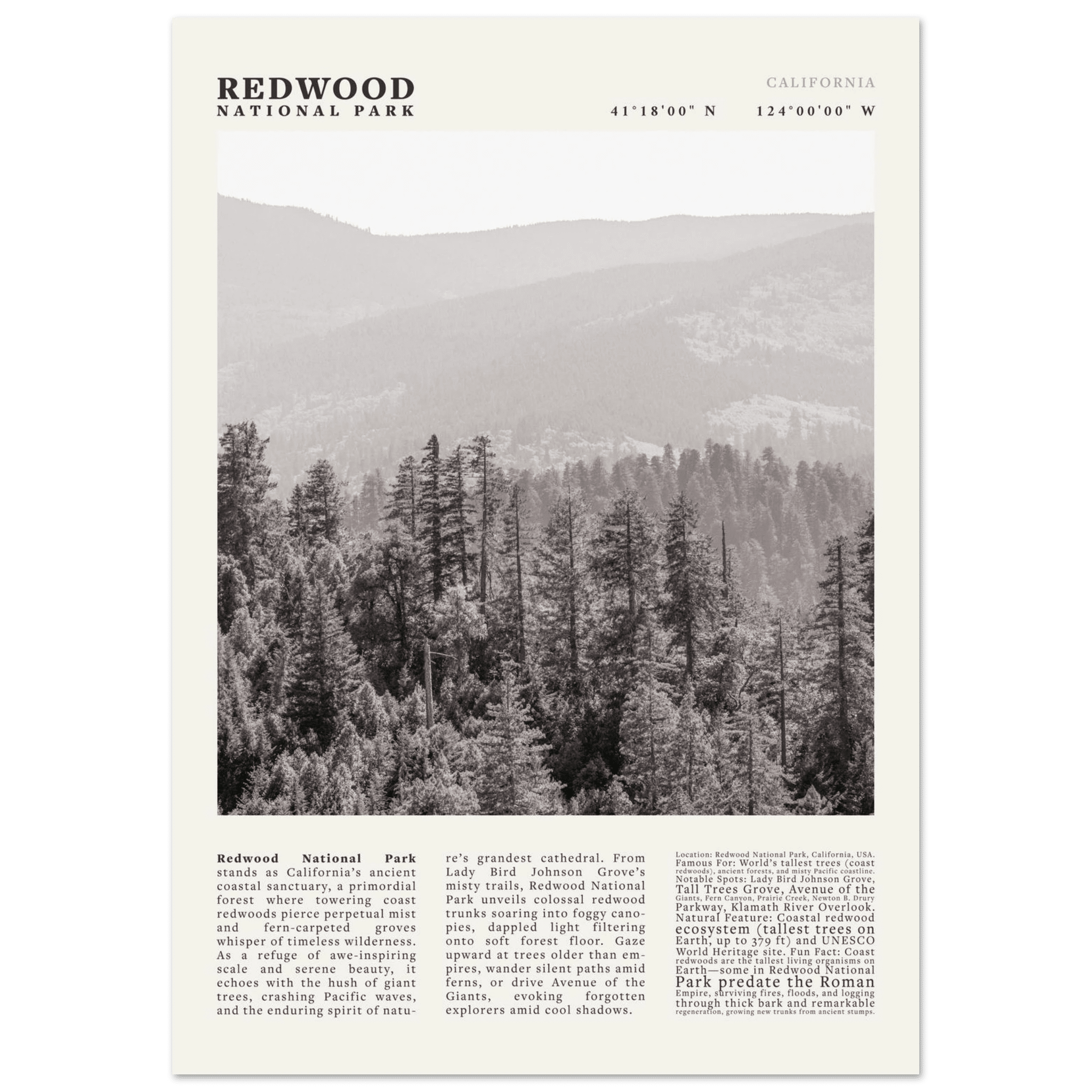 Redwood National Park Poster Black and White – Vintage Foggy Redwood Forest Print - Evergreen Posters