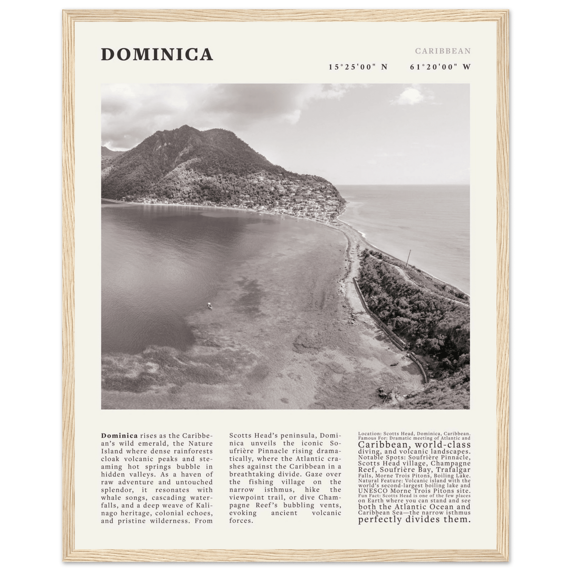 Dominica Poster Black and White – Vintage Caribbean Rainforest Island Print (Digital & Printed Options) - Evergreen Posters