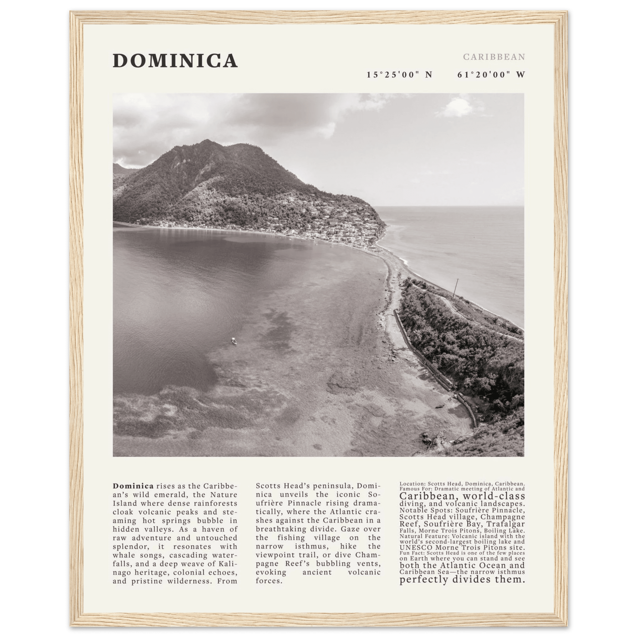 Dominica Poster Black and White – Vintage Caribbean Rainforest Island Print (Digital & Printed Options) - Evergreen Posters